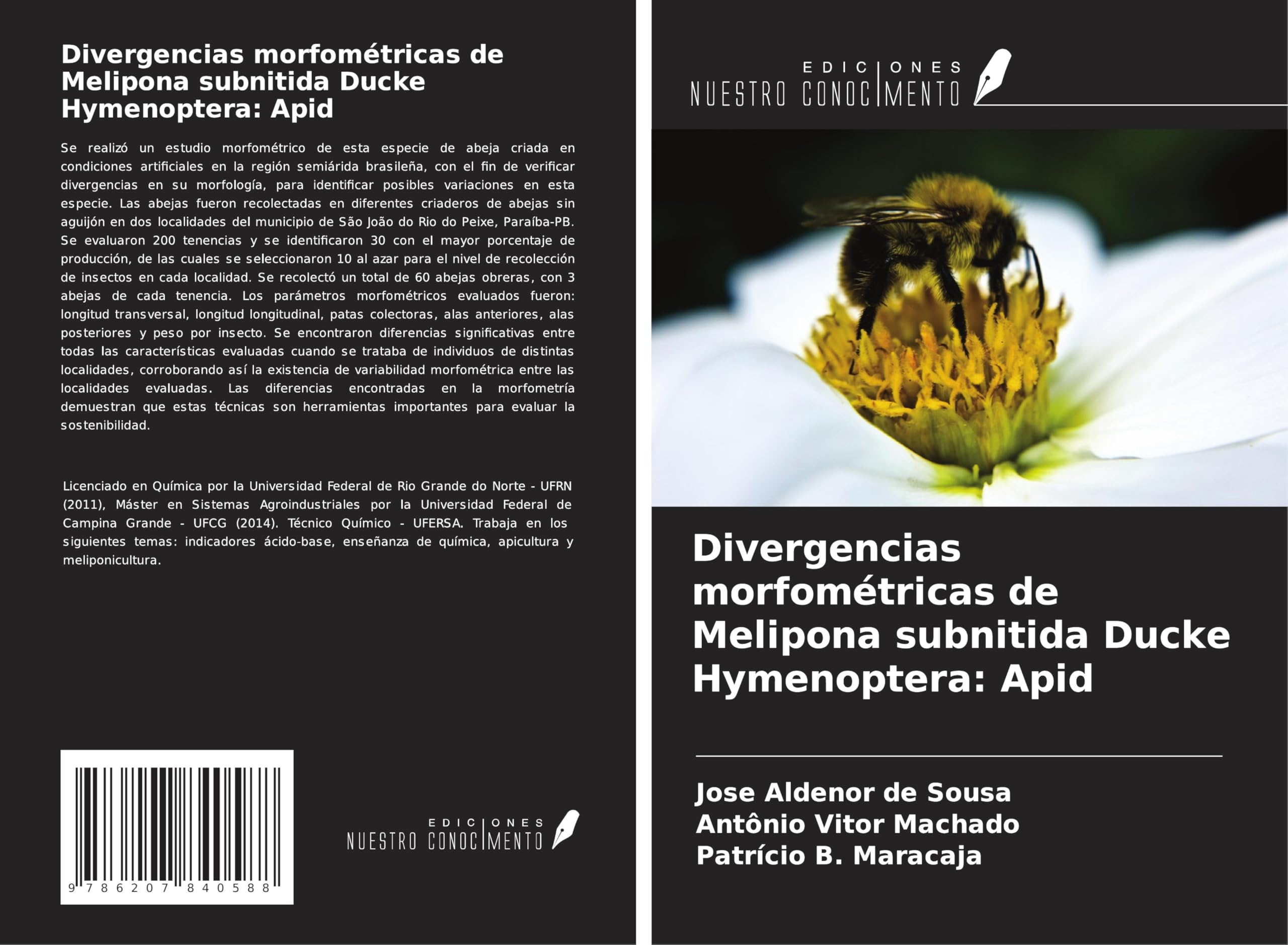Divergencias morfométricas de Melipona subnitida Ducke Hymenoptera: Apid Natural Sciences
