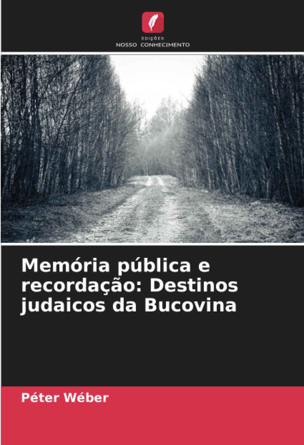 Memória pública e recordação: Destinos judaicos da Bucovina Politics & History