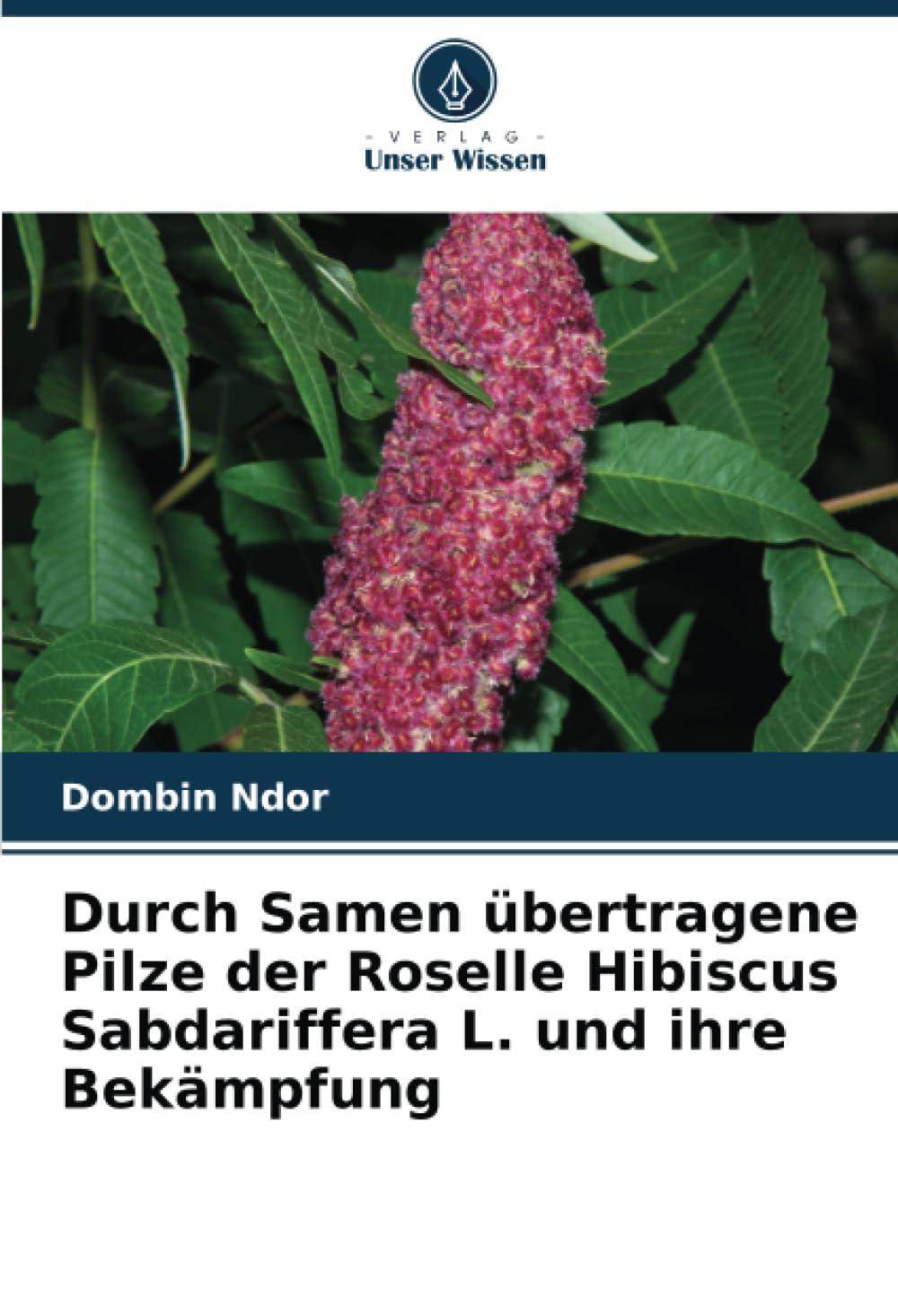 Durch Samen übertragene Pilze der Roselle Hibiscus Sabdariffera L. und ihre Bekämpfung Media & Communication