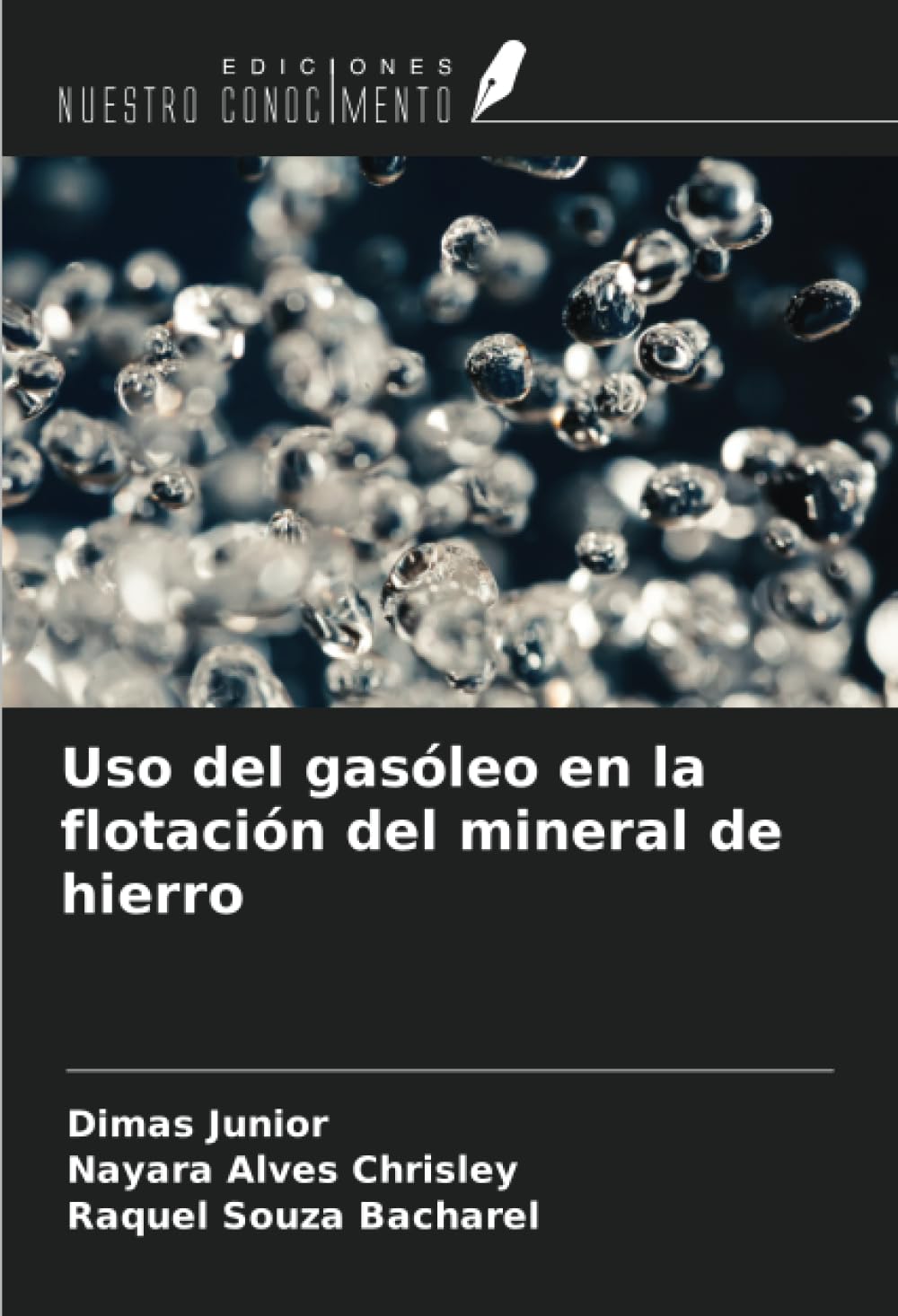 Uso del gasóleo en la flotación del mineral de hierro book