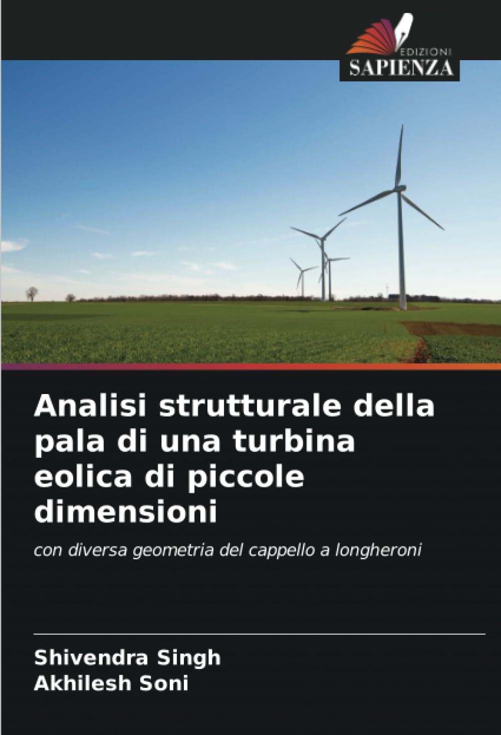 Analisi strutturale della pala di una turbina eolica di piccole dimensioni Law