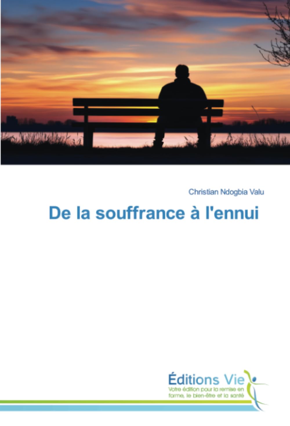 De la souffrance à l'ennui Philosophy