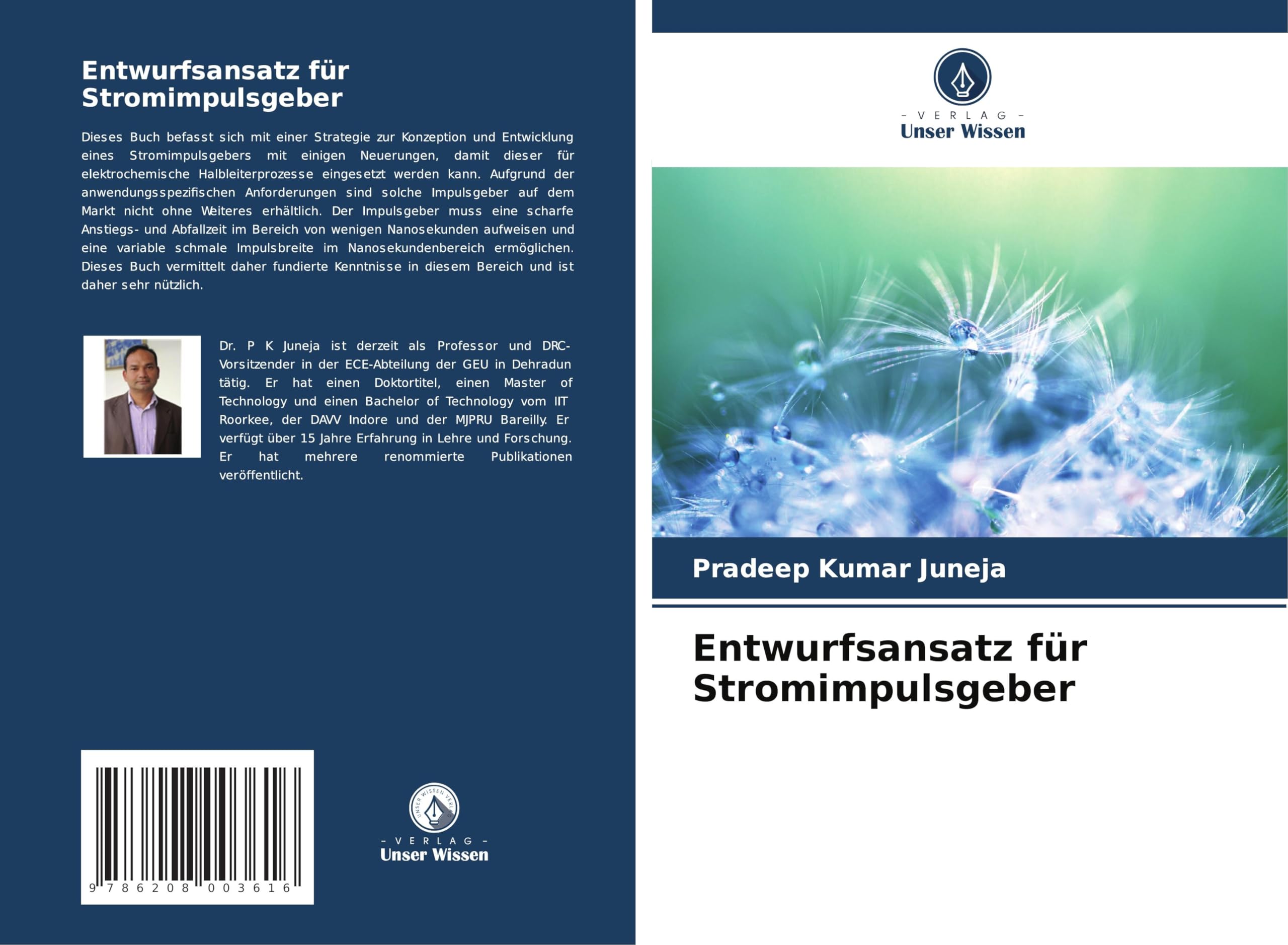 Entwurfsansatz für Stromimpulsgeber Business & Technology