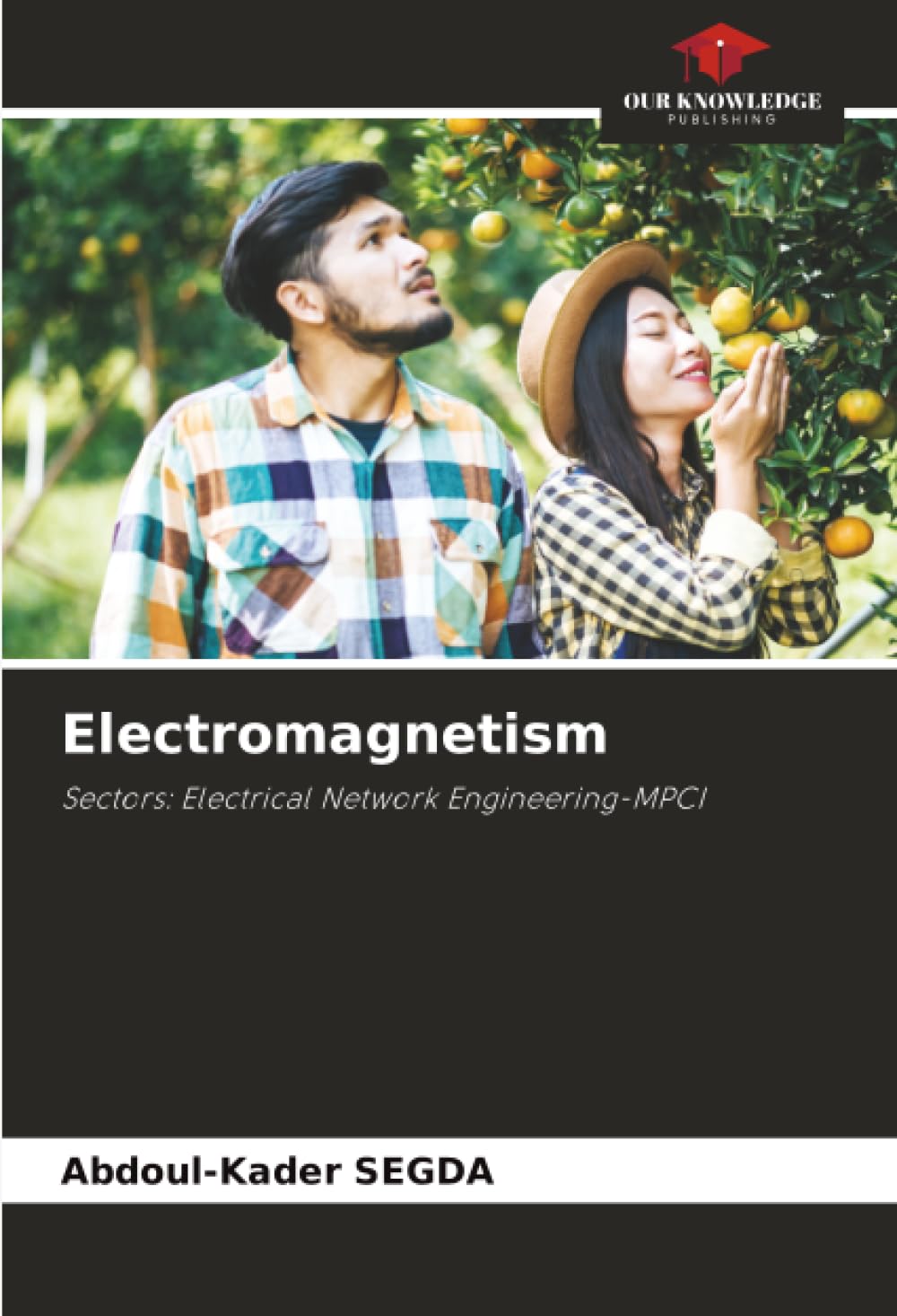 Electromagnetism Natural Sciences