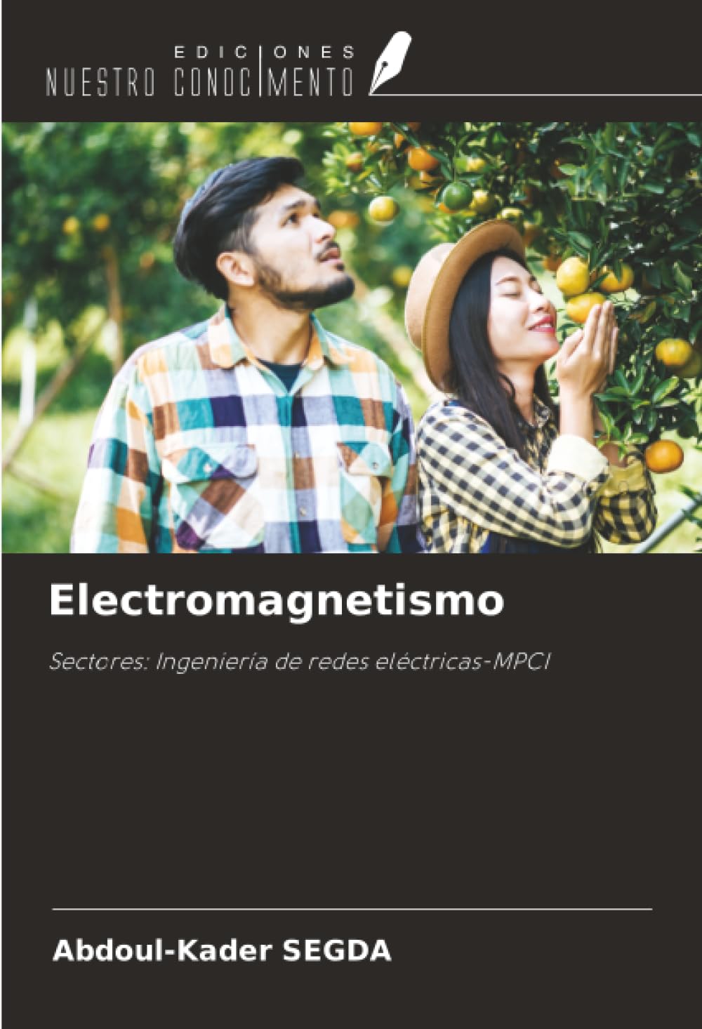 Electromagnetismo Natural Sciences Books