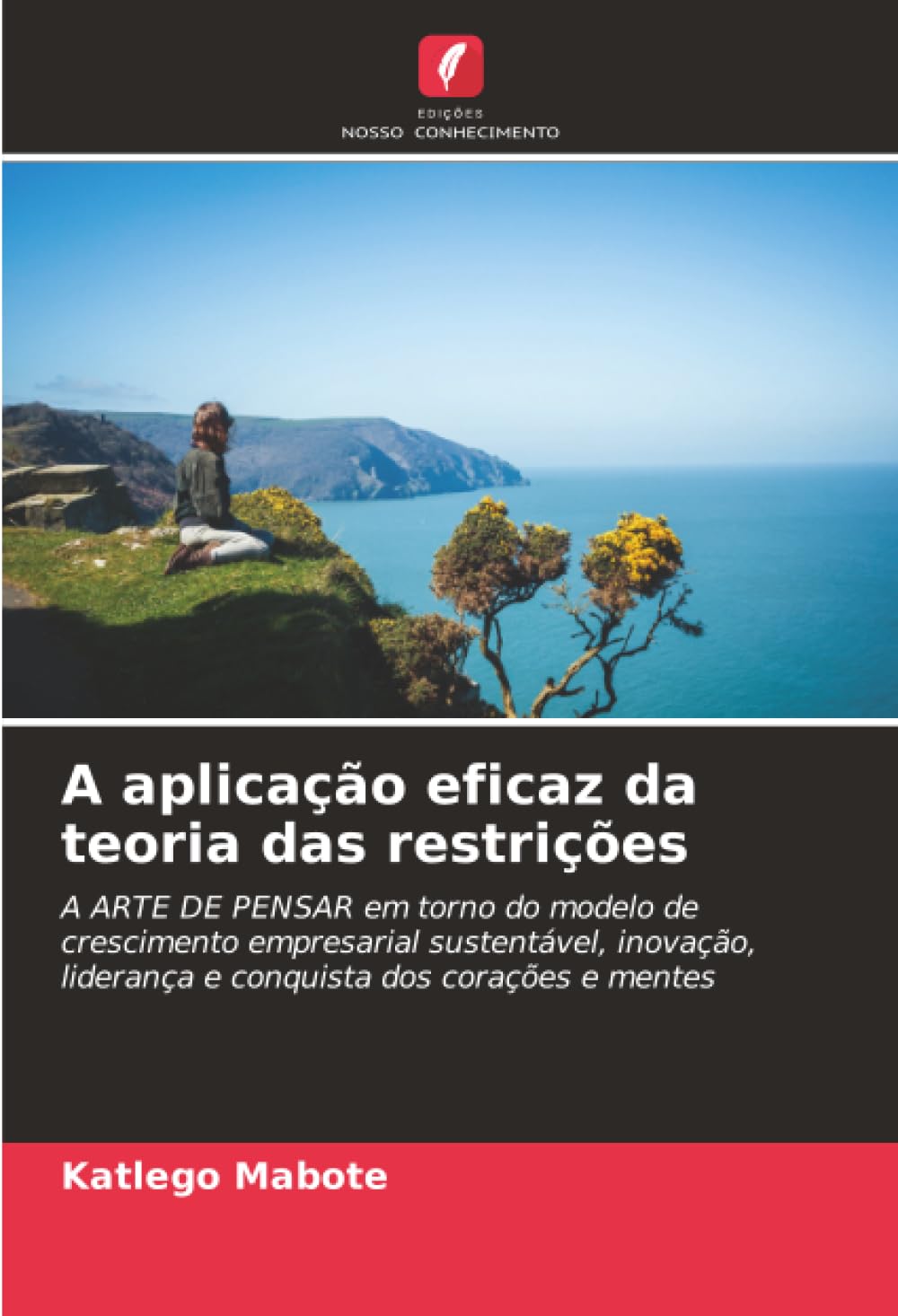A aplicação eficaz da teoria das restrições Law