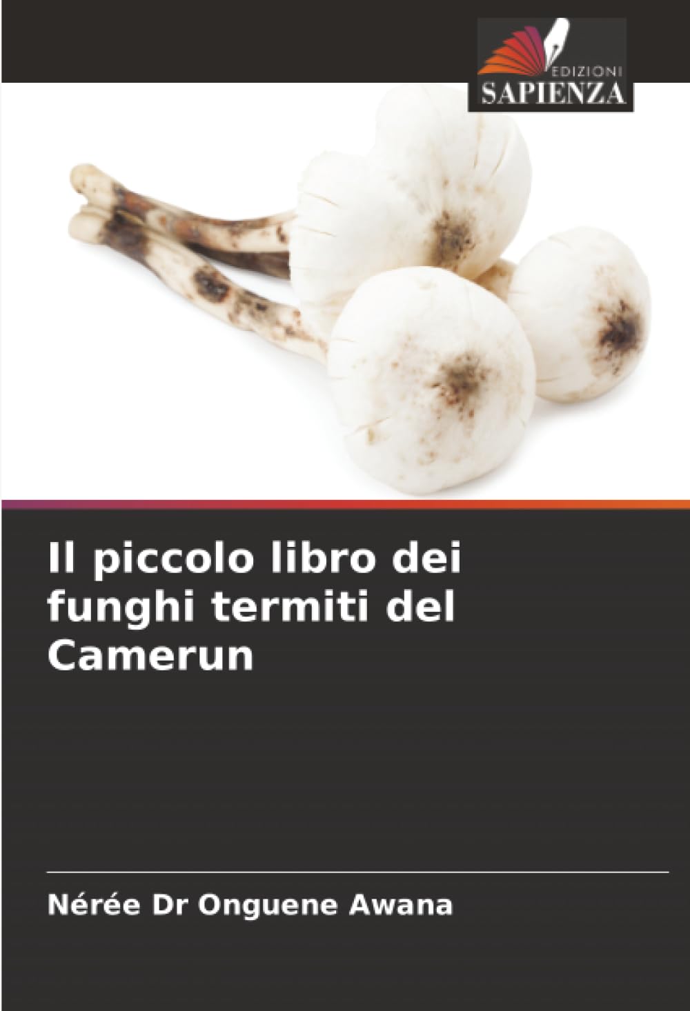 Il piccolo libro dei funghi termiti del Camerun Law