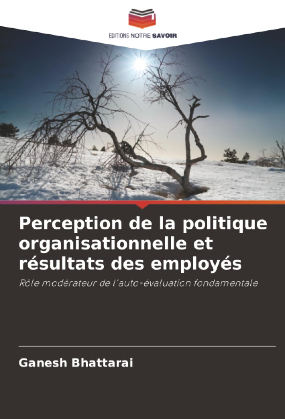 Perception de la politique organisationnelle et résultats des employés Law