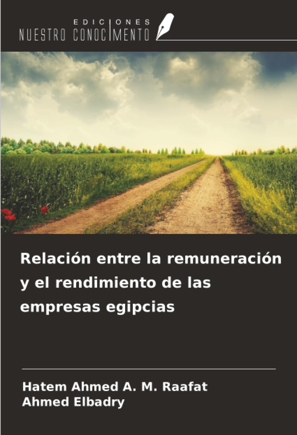 Relación entre la remuneración y el rendimiento de las empresas egipcias Law