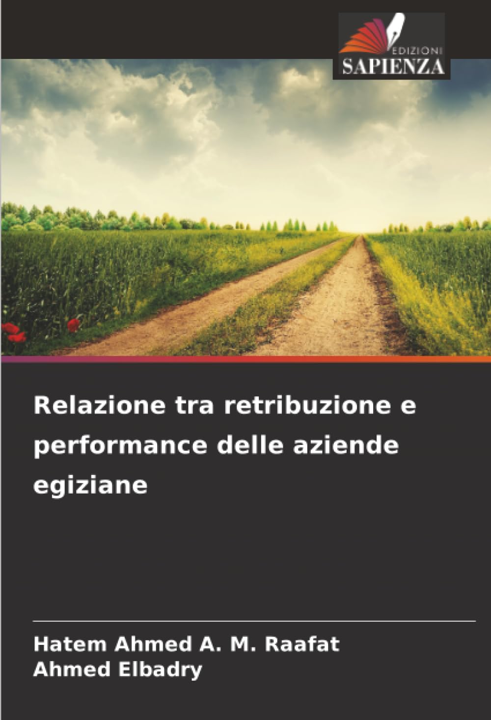 Relazione tra retribuzione e performance delle aziende egiziane Law
