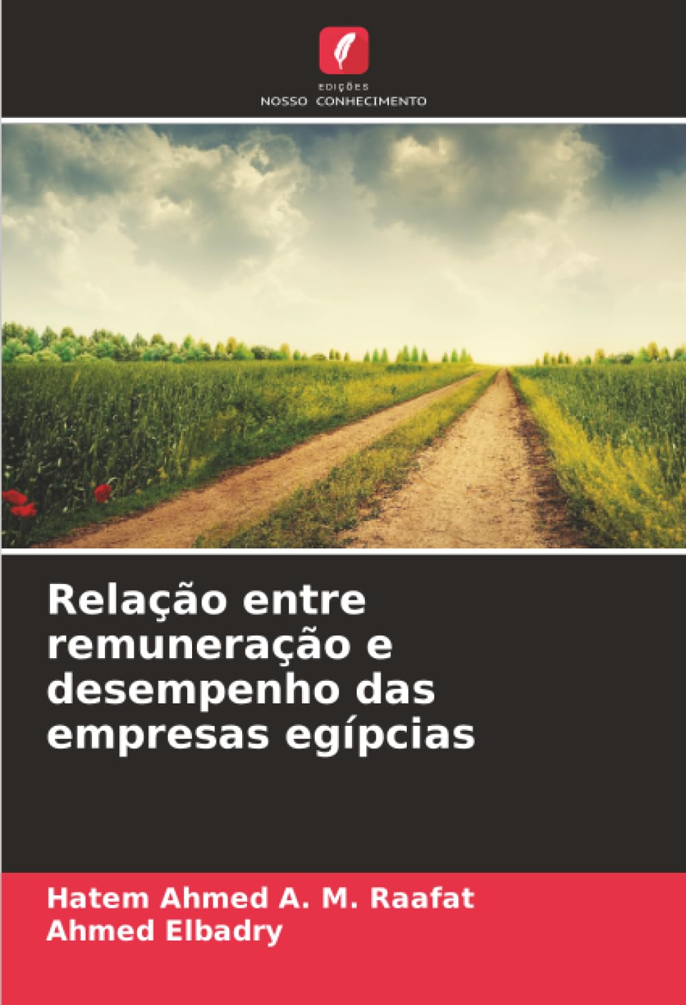 Relação entre remuneração e desempenho das empresas egípcias Law