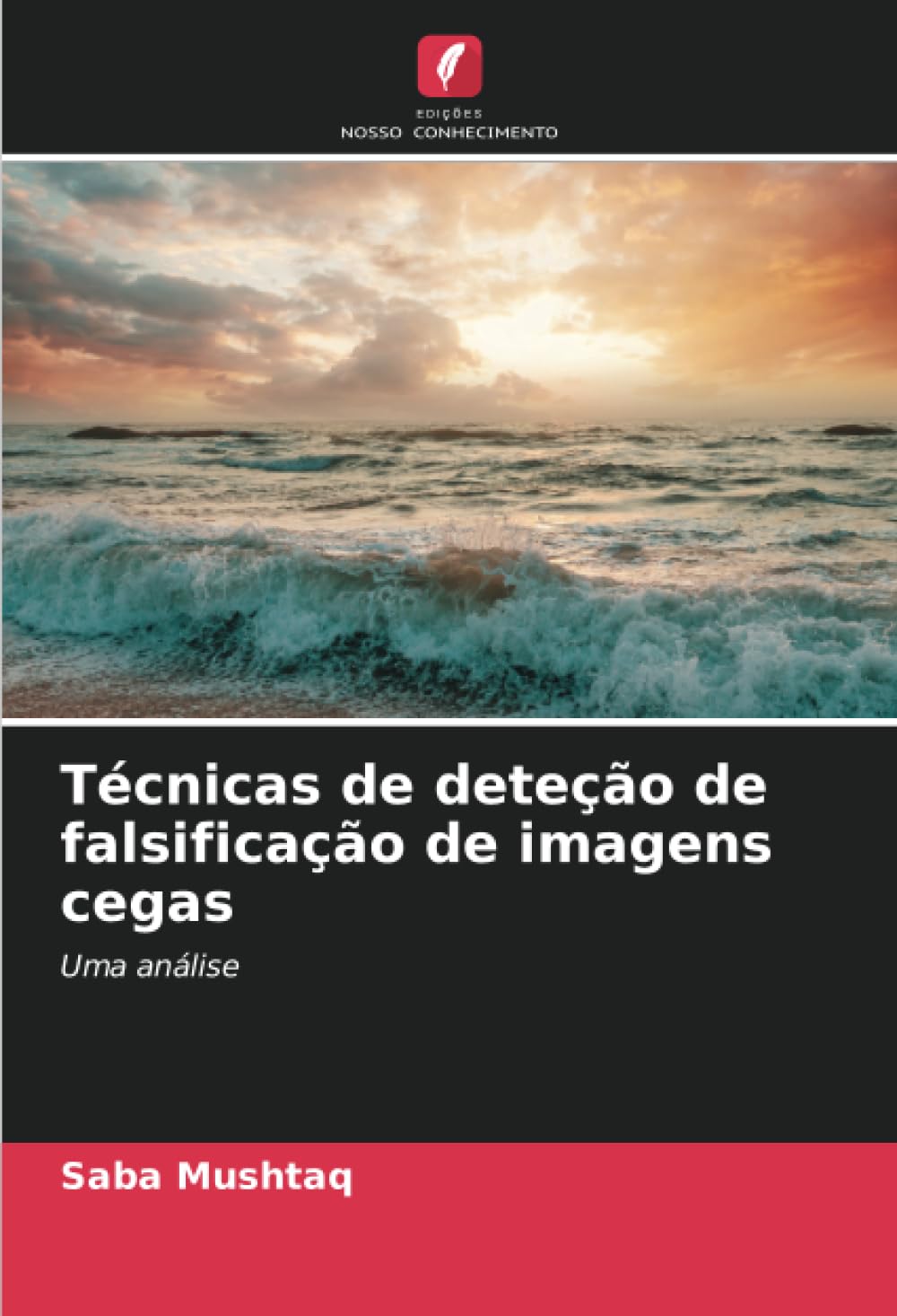 Técnicas de deteção de falsificação de imagens cegas Business & Technology