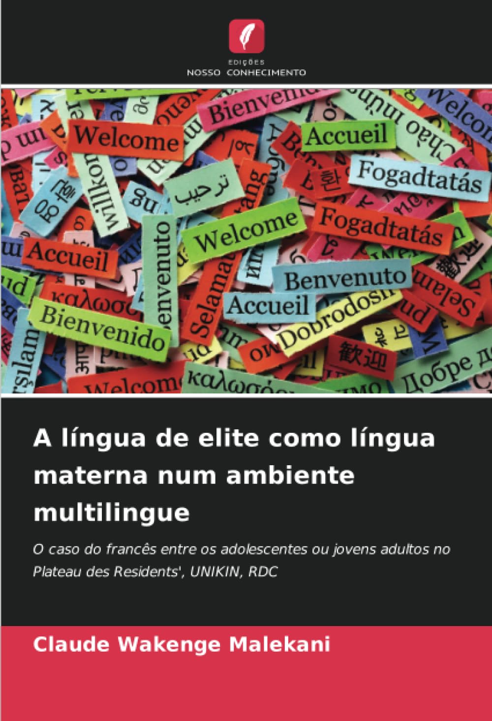 A língua de elite como língua materna num ambiente multilingue Books