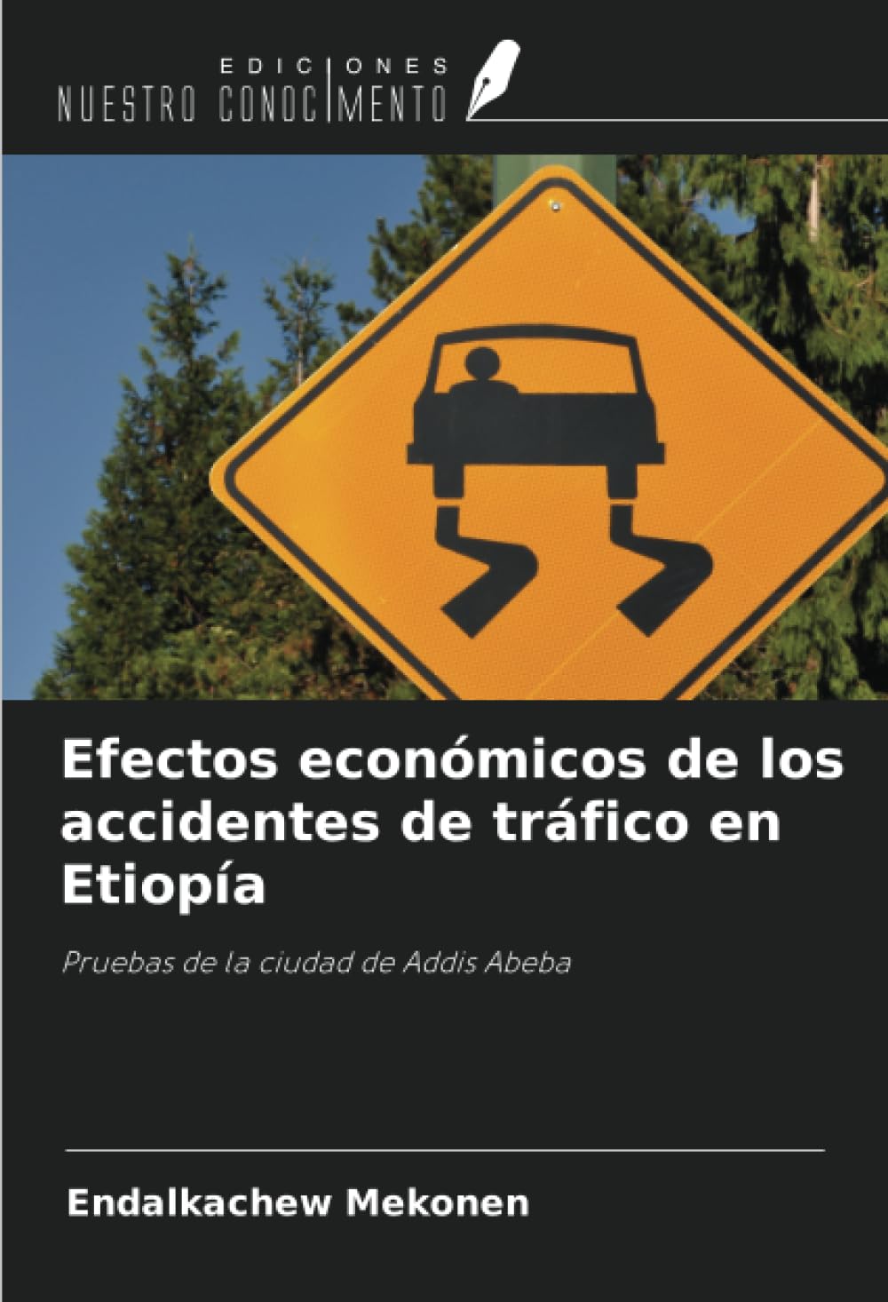 Efectos económicos de los accidentes de tráfico en Etiopía: Pruebas de la ciudad de Addis Abeba book