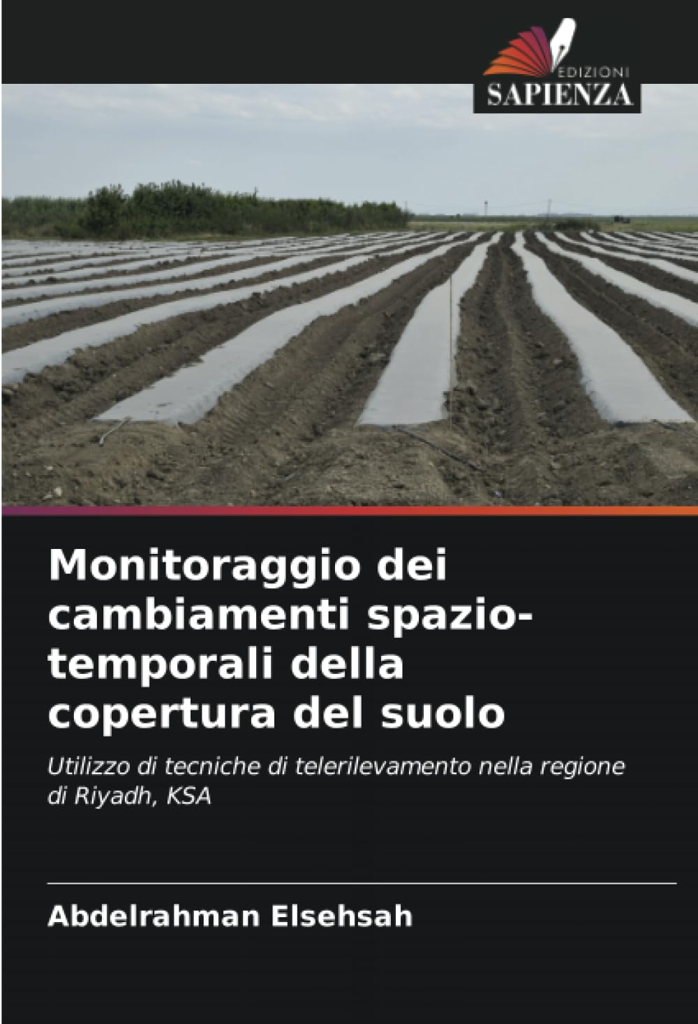 Monitoraggio dei cambiamenti spazio-temporali della copertura del suolo Business & Technology