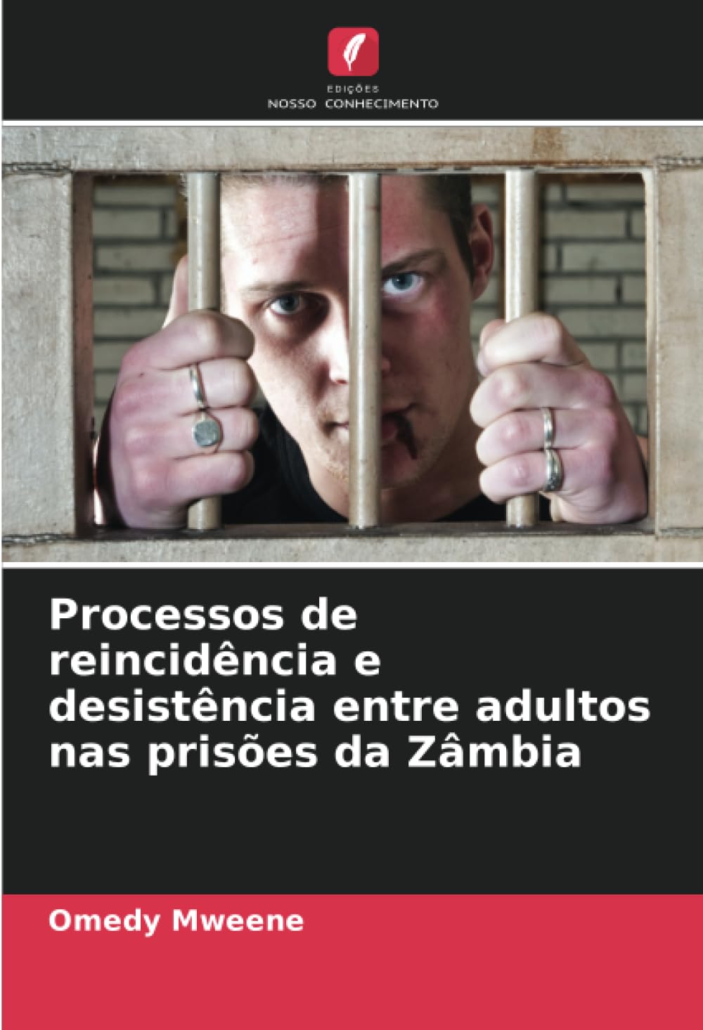 Processos de reincidência e desistência entre adultos nas prisões da Zâmbia Law
