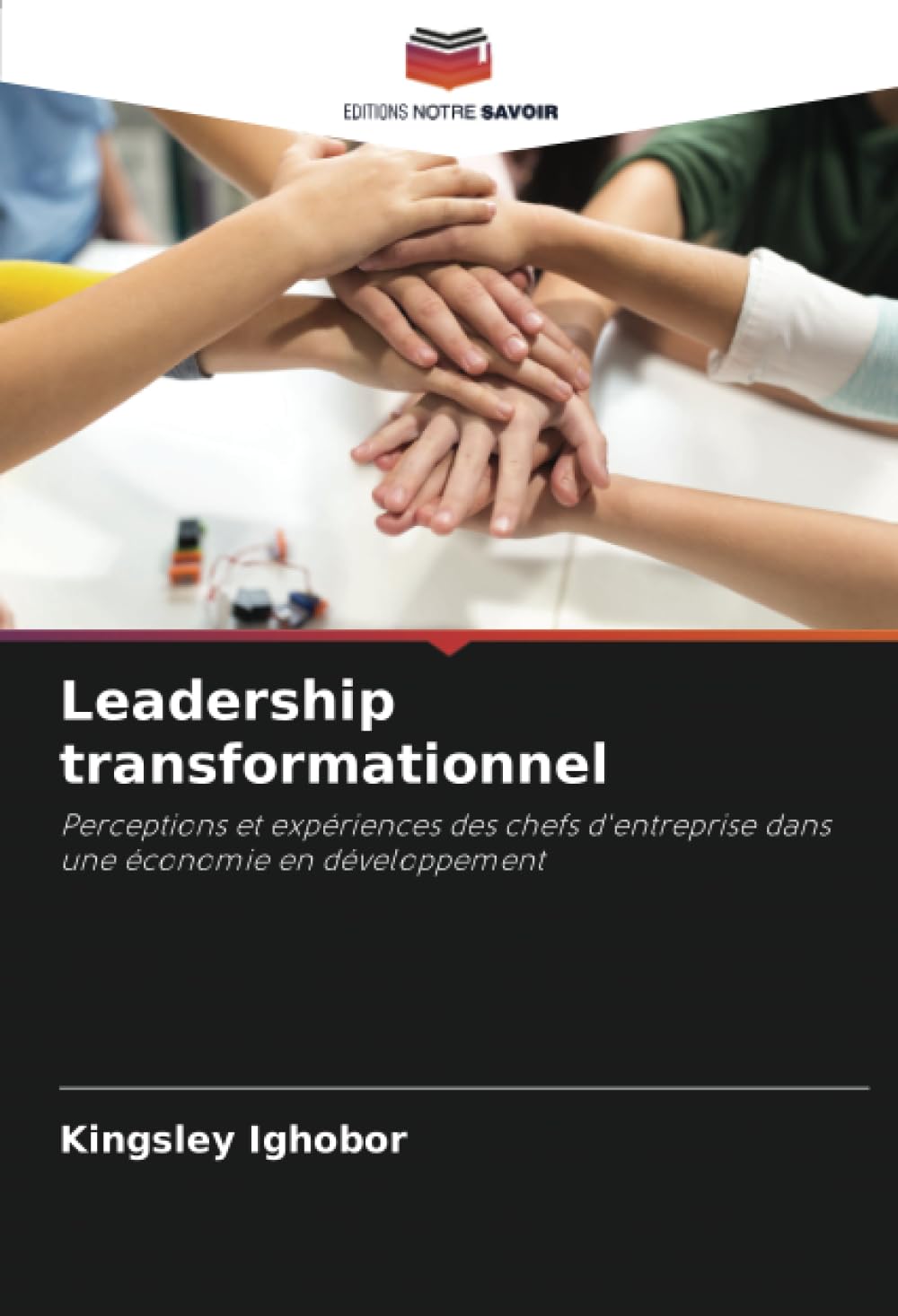 Leadership transformationnel: Perceptions et expériences des chefs d'entreprise dans une économie en développement book