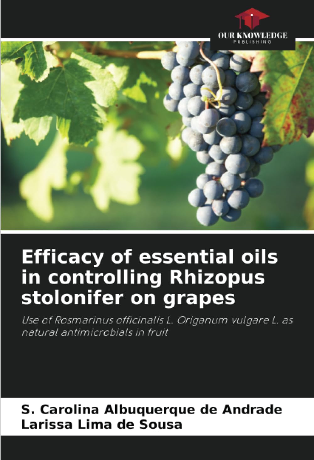 Efficacy of essential oils in controlling Rhizopus stolonifer on grapes Natural Sciences