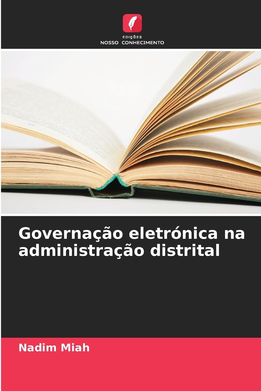 Governação eletrónica na administração distrital: DE Law