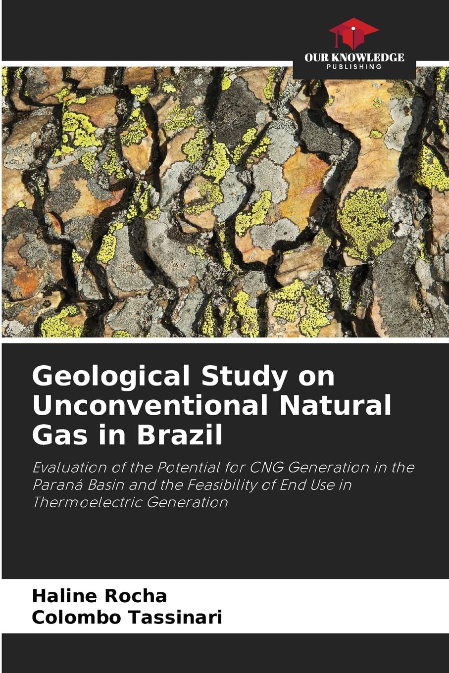 Geological Study on Unconventional Natural Gas in Brazil Business & Technology