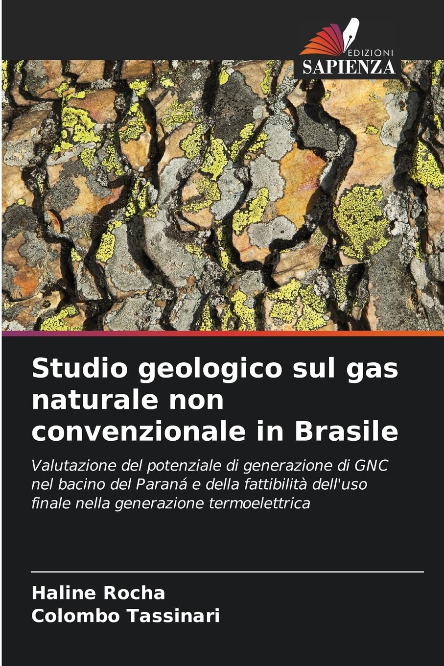 Studio geologico sul gas naturale non convenzionale in Brasile Business & Technology