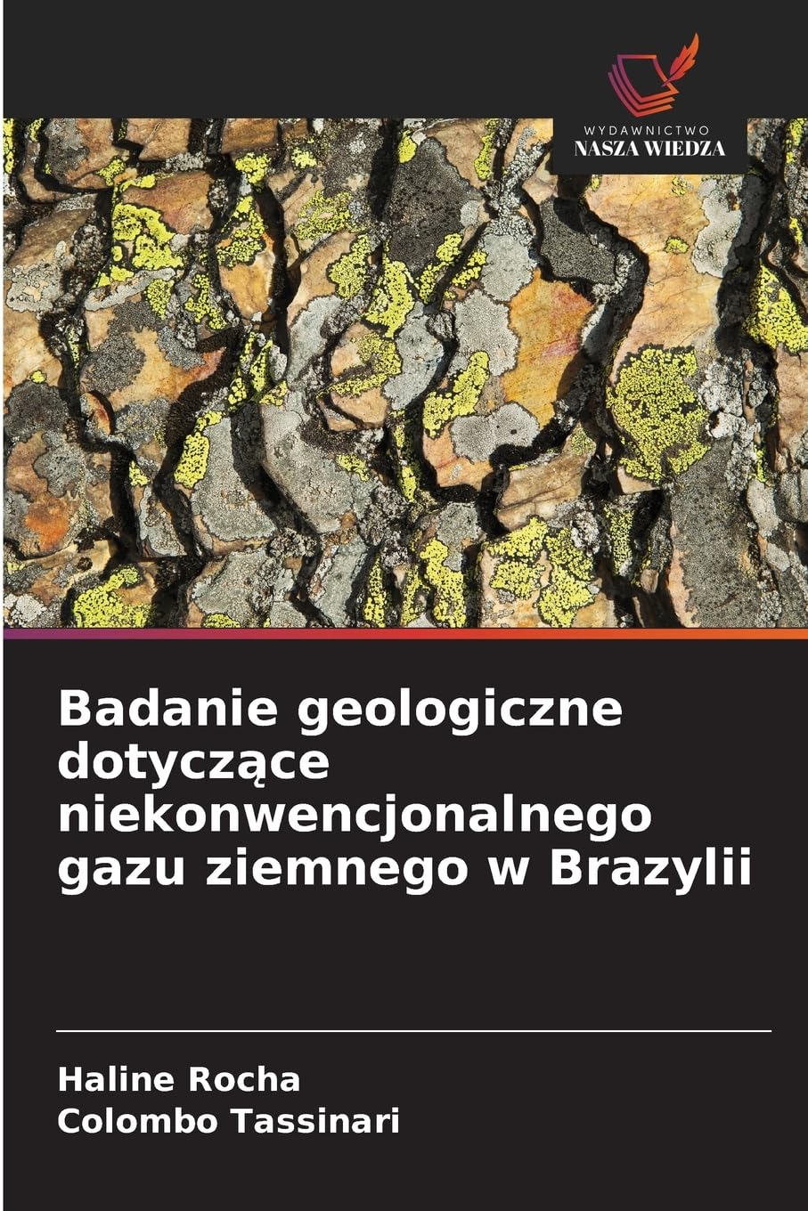 Badanie geologiczne dotycz¿ce niekonwencjonalnego gazu ziemnego w Brazylii Business & Technology