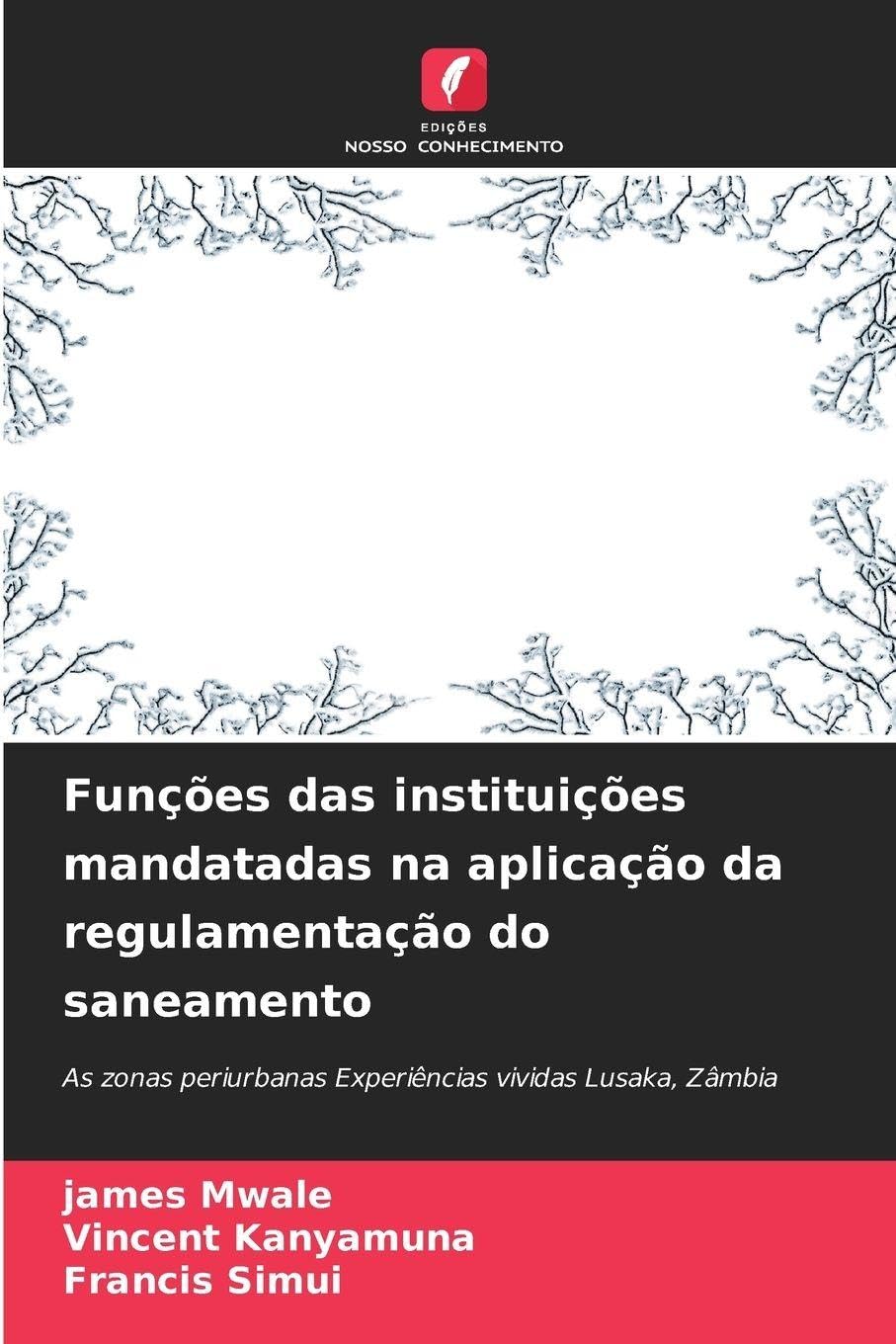 Funções das instituições mandatadas na aplicação da regulamentação do saneamento Law