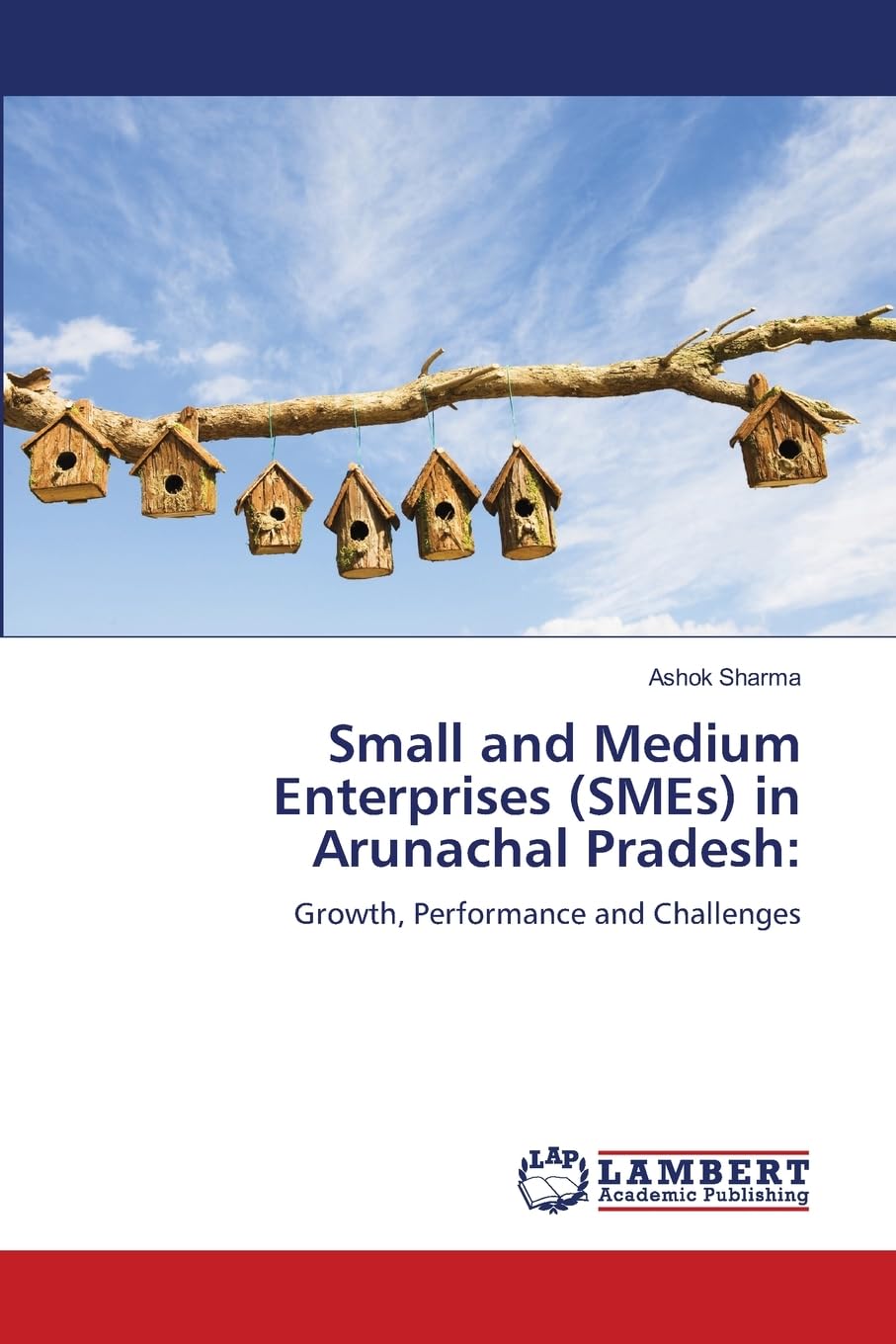 Small and Medium Enterprises (SMEs) in Arunachal Pradesh: Business, Finance & Career