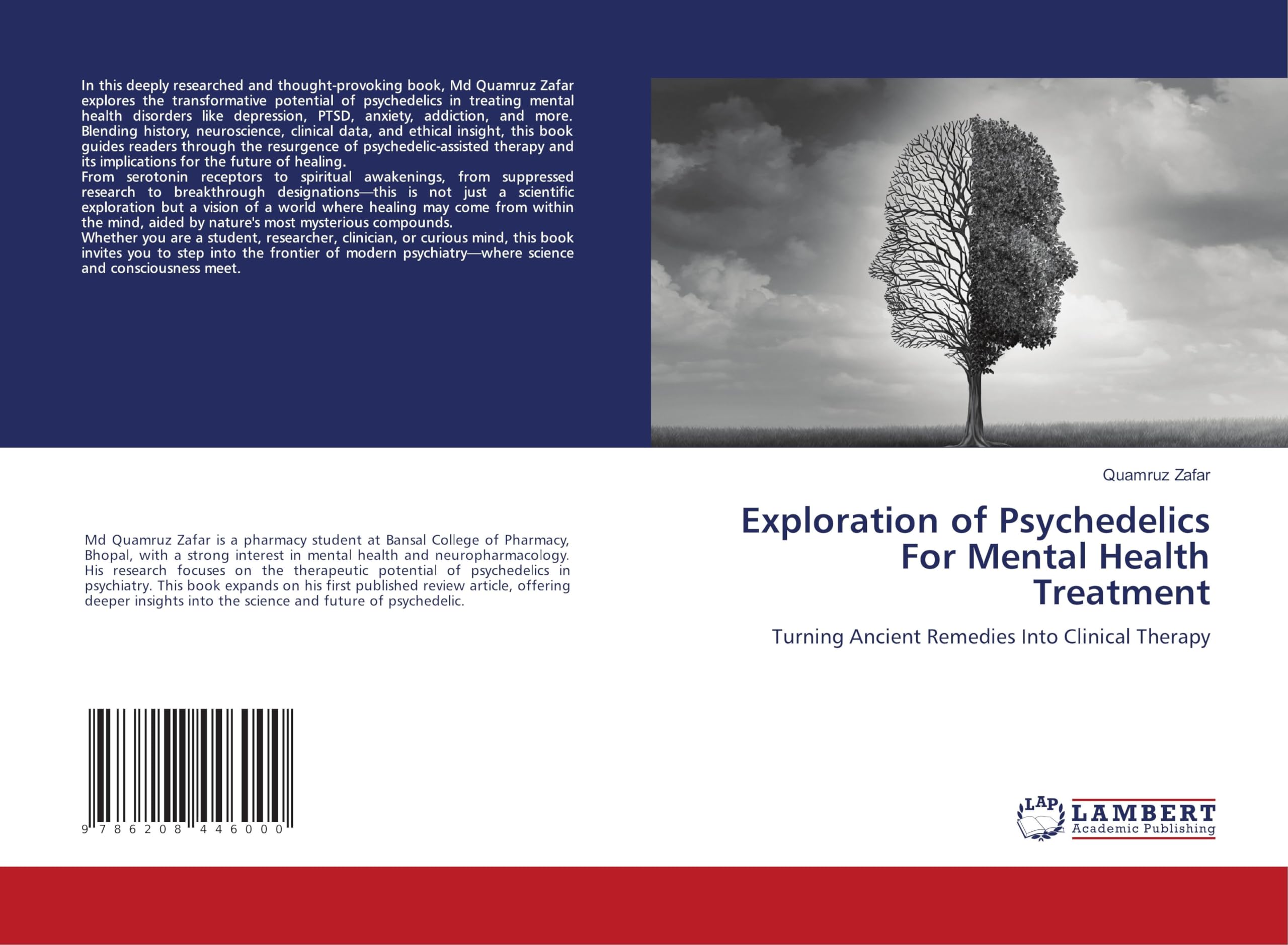 Exploration of Psychedelics For Mental Health Treatment Law