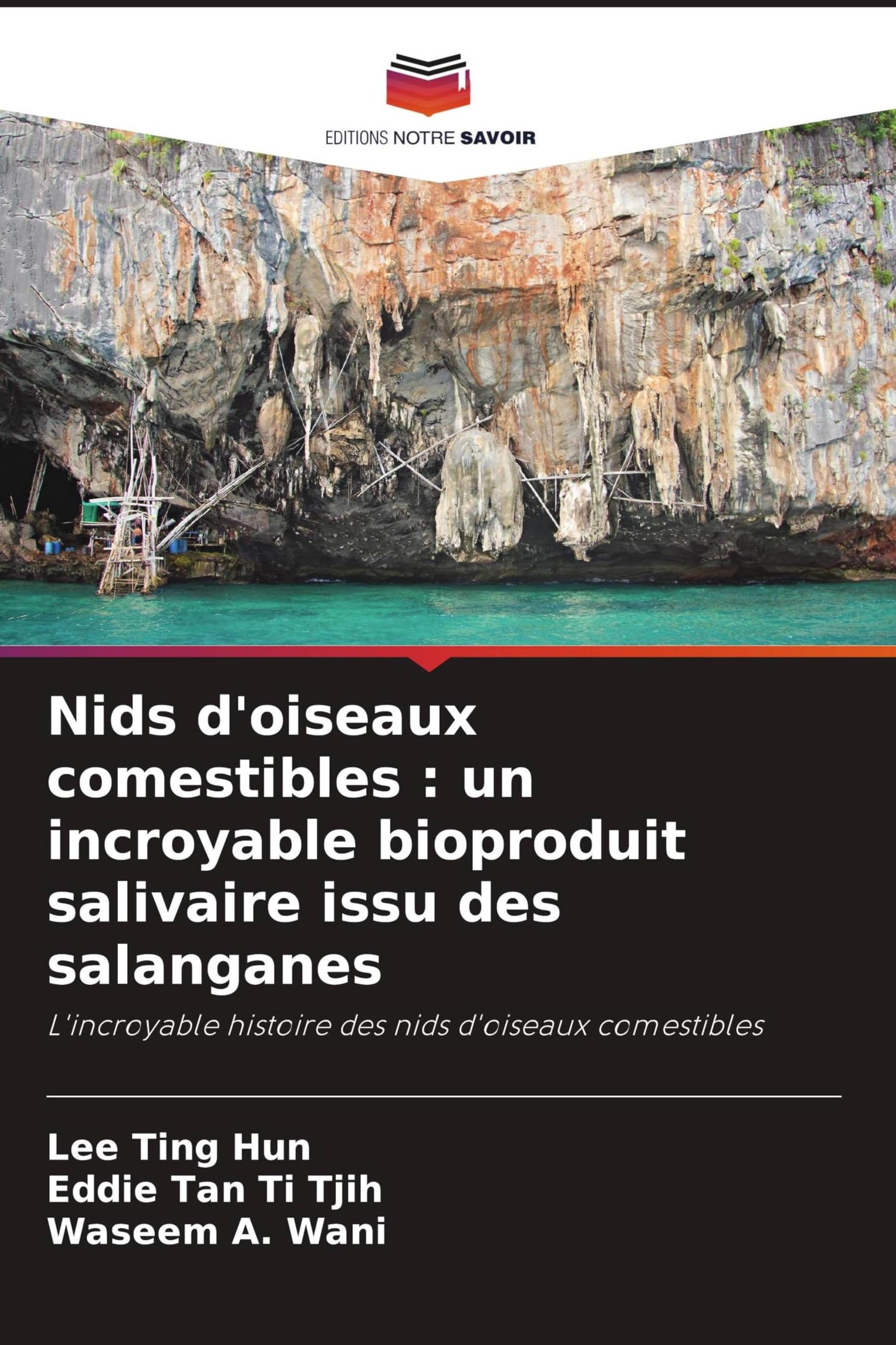 Nids d'oiseaux comestibles : un incroyable bioproduit salivaire issu des salanganes Natural Sciences