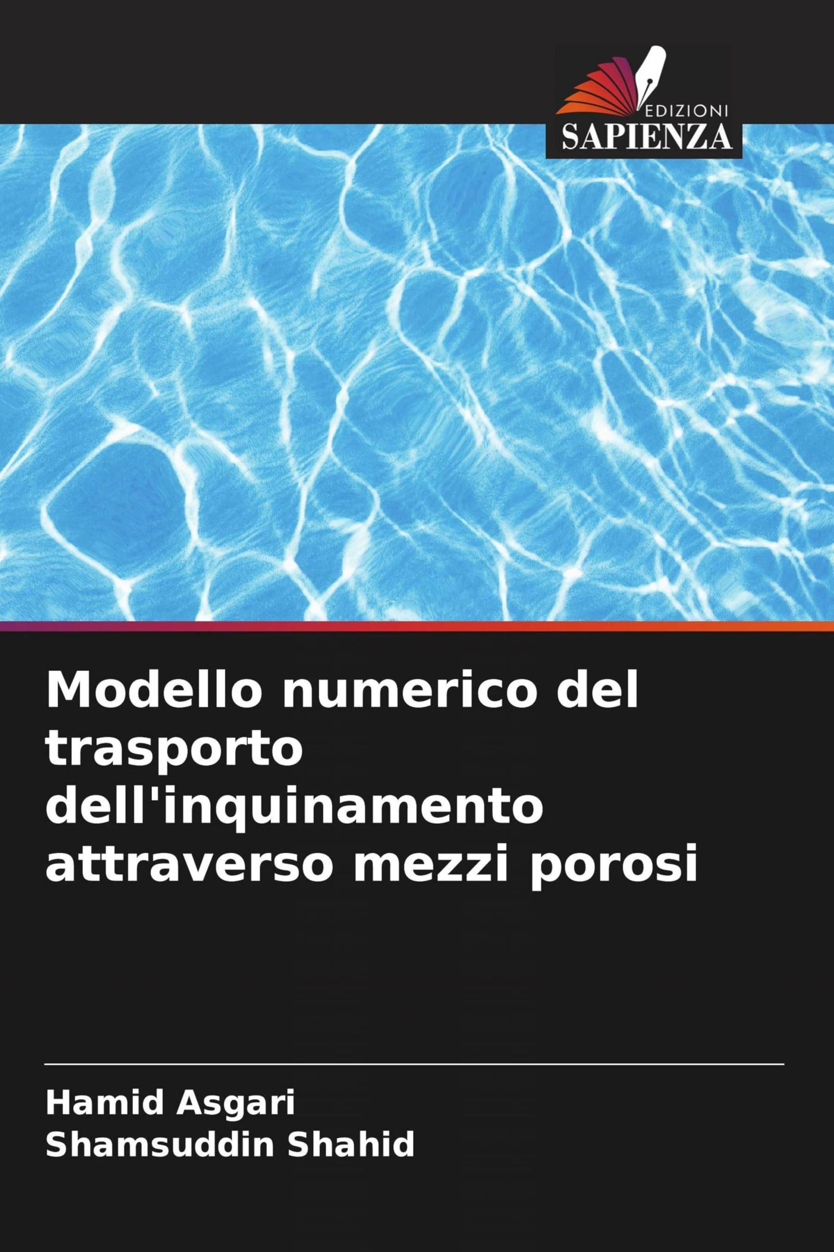 Modello numerico del trasporto dell'inquinamento attraverso mezzi porosi Business & Technology