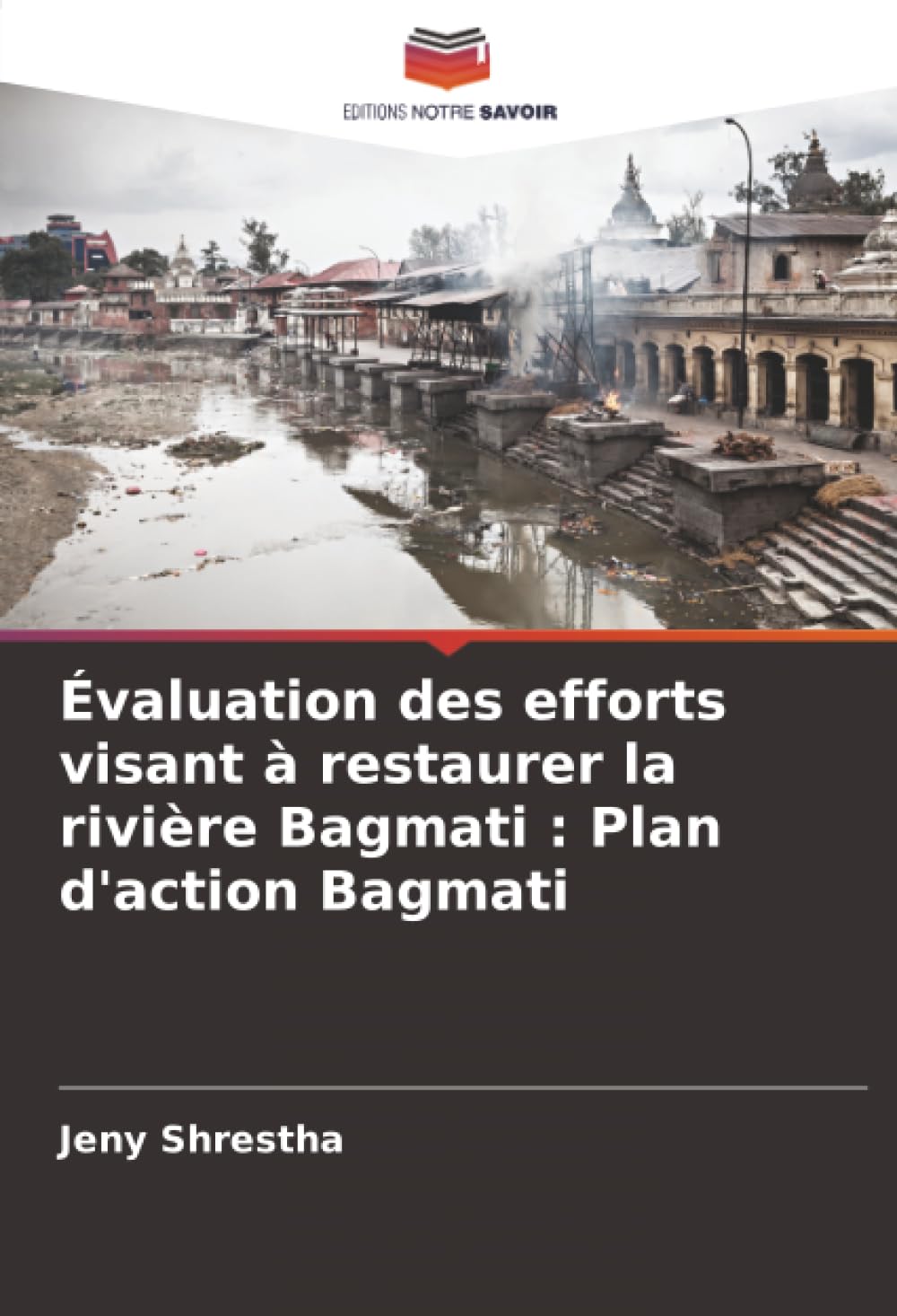 Évaluation des efforts visant à restaurer la rivière Bagmati : Plan d'action Bagmati Social Sciences