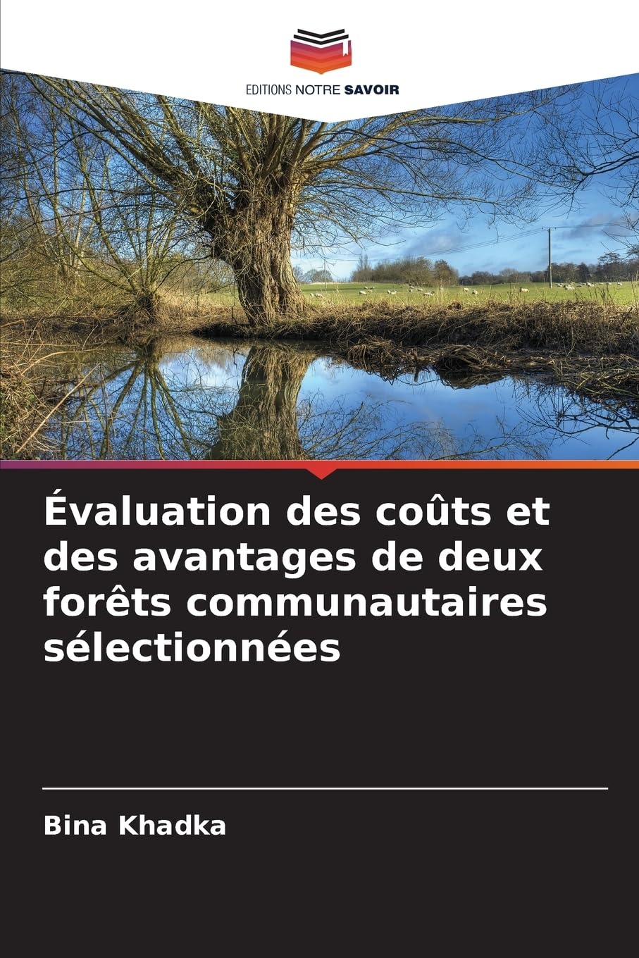 Évaluation des coûts et des avantages de deux forêts communautaires sélectionnées Natural Sciences