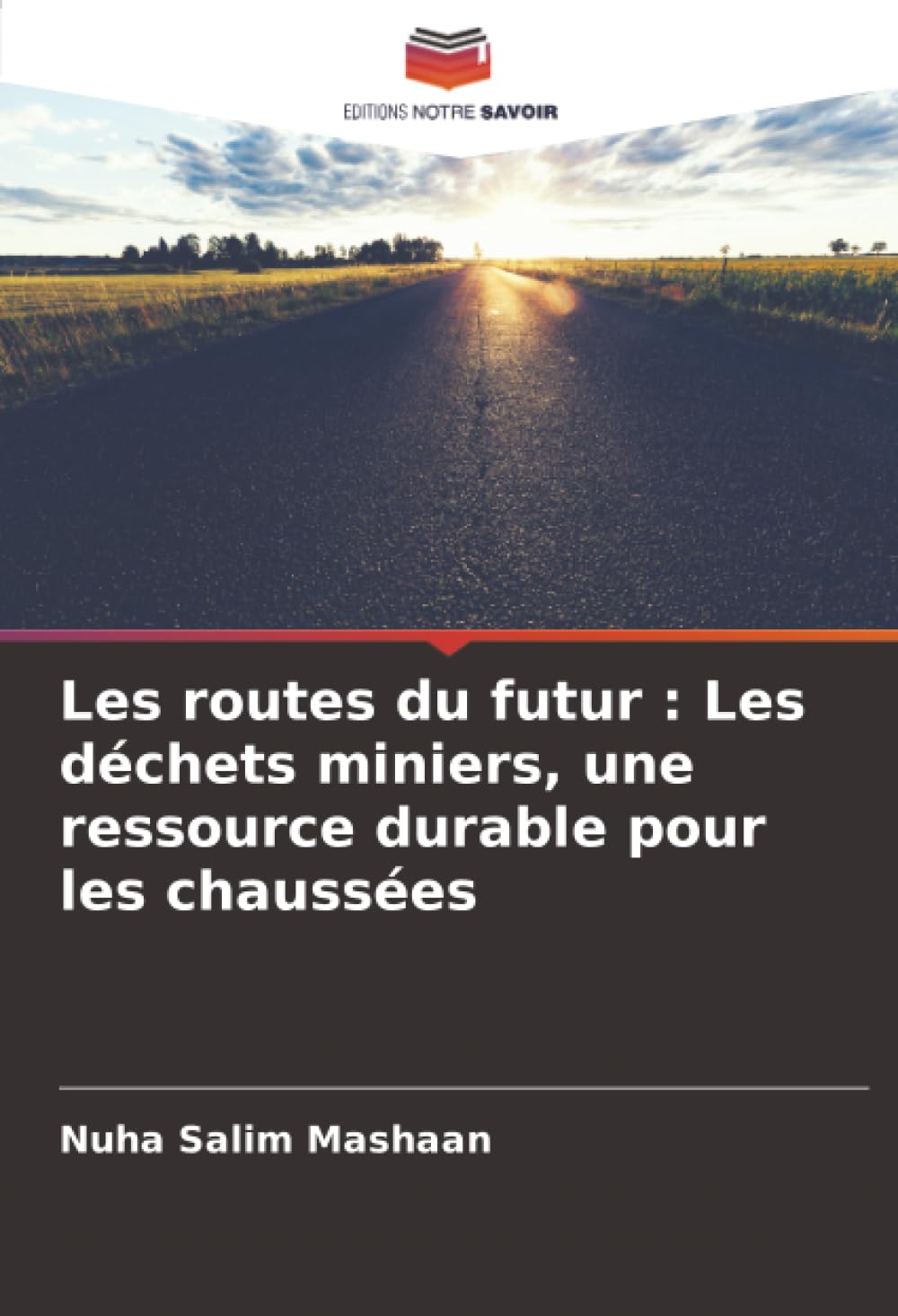 Les routes du futur : Les déchets miniers, une ressource durable pour les chaussées: DE Business & Technology