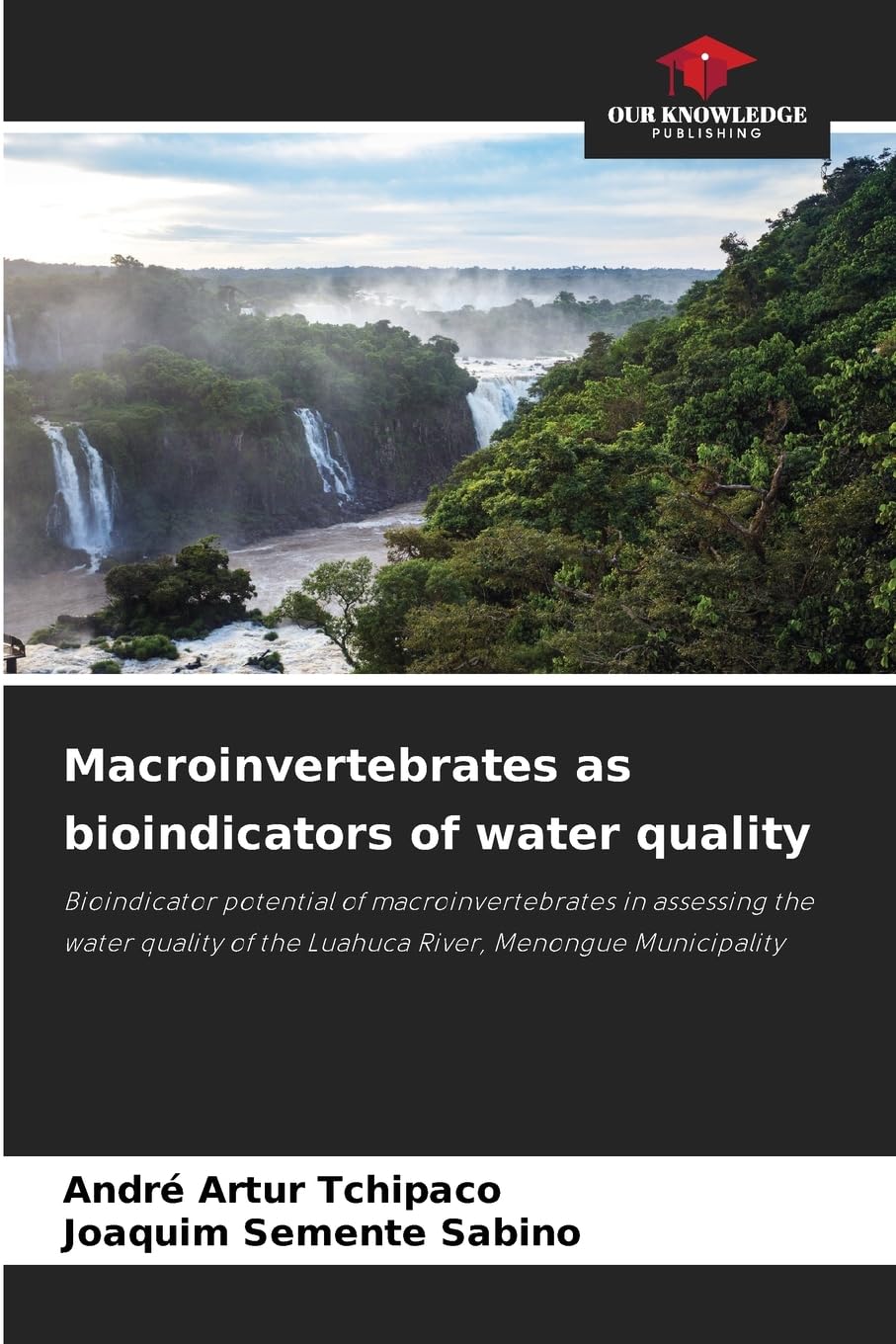 Macroinvertebrates as bioindicators of water quality Natural Sciences