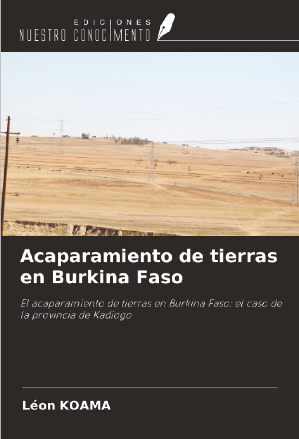 Acaparamiento de tierras en Burkina Faso Law