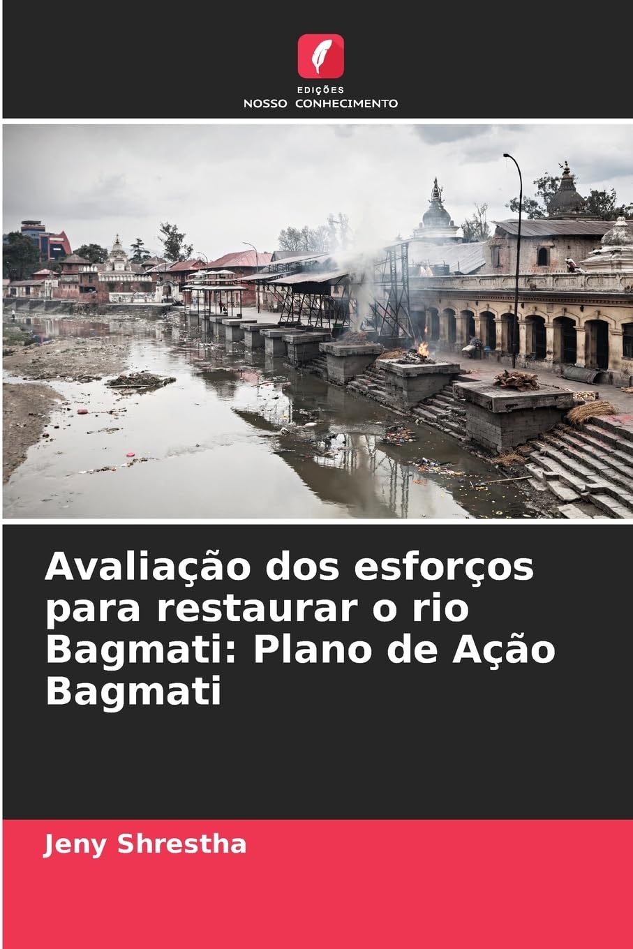 Avaliação dos esforços para restaurar o rio Bagmati: Plano de Ação Bagmati Social Sciences