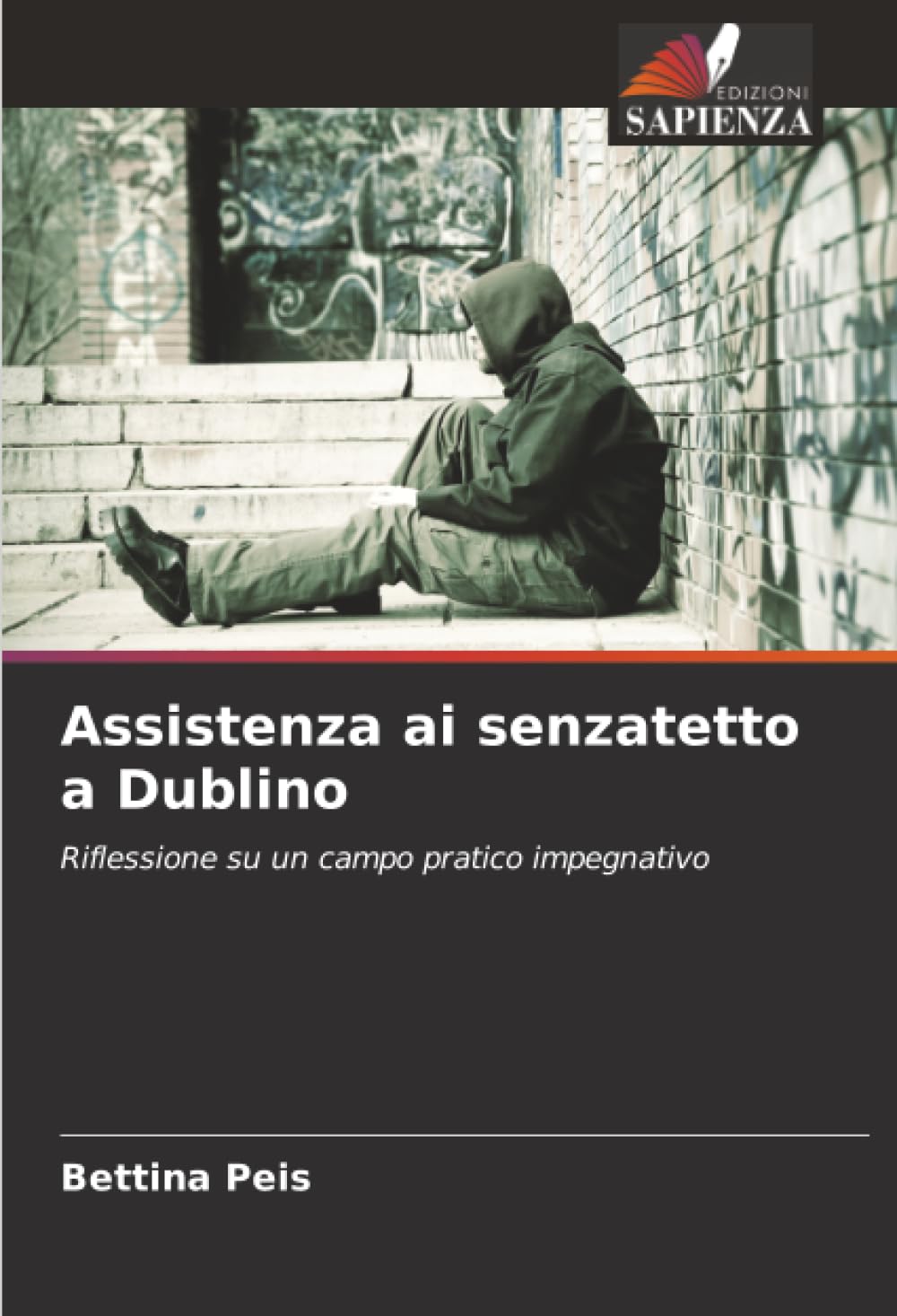 Assistenza ai senzatetto a Dublino Social Sciences