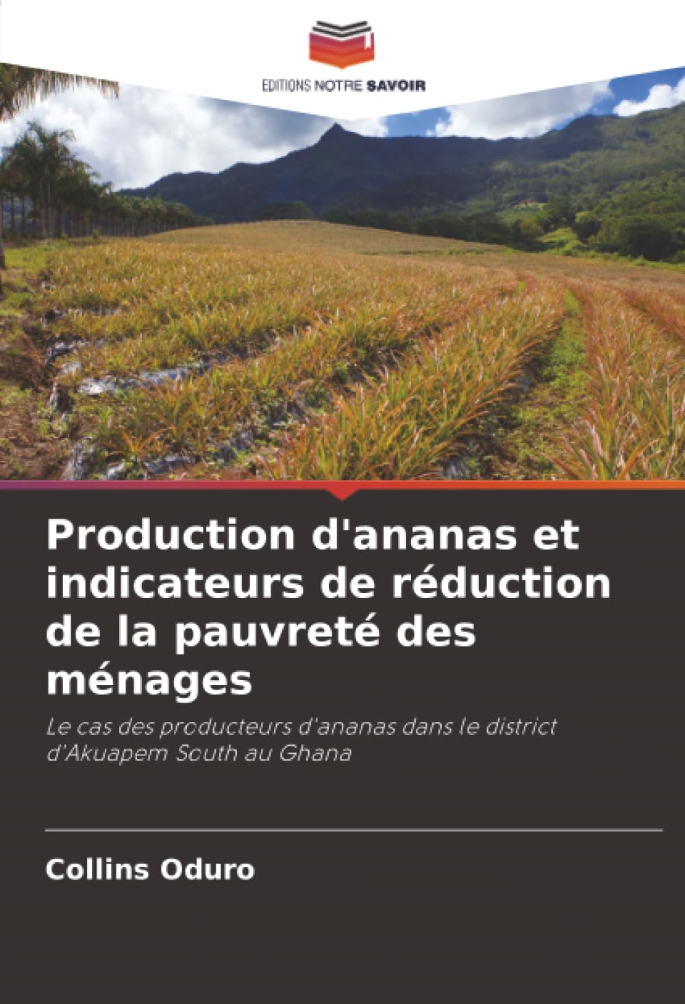 Production d'ananas et indicateurs de réduction de la pauvreté des ménages Natural Sciences