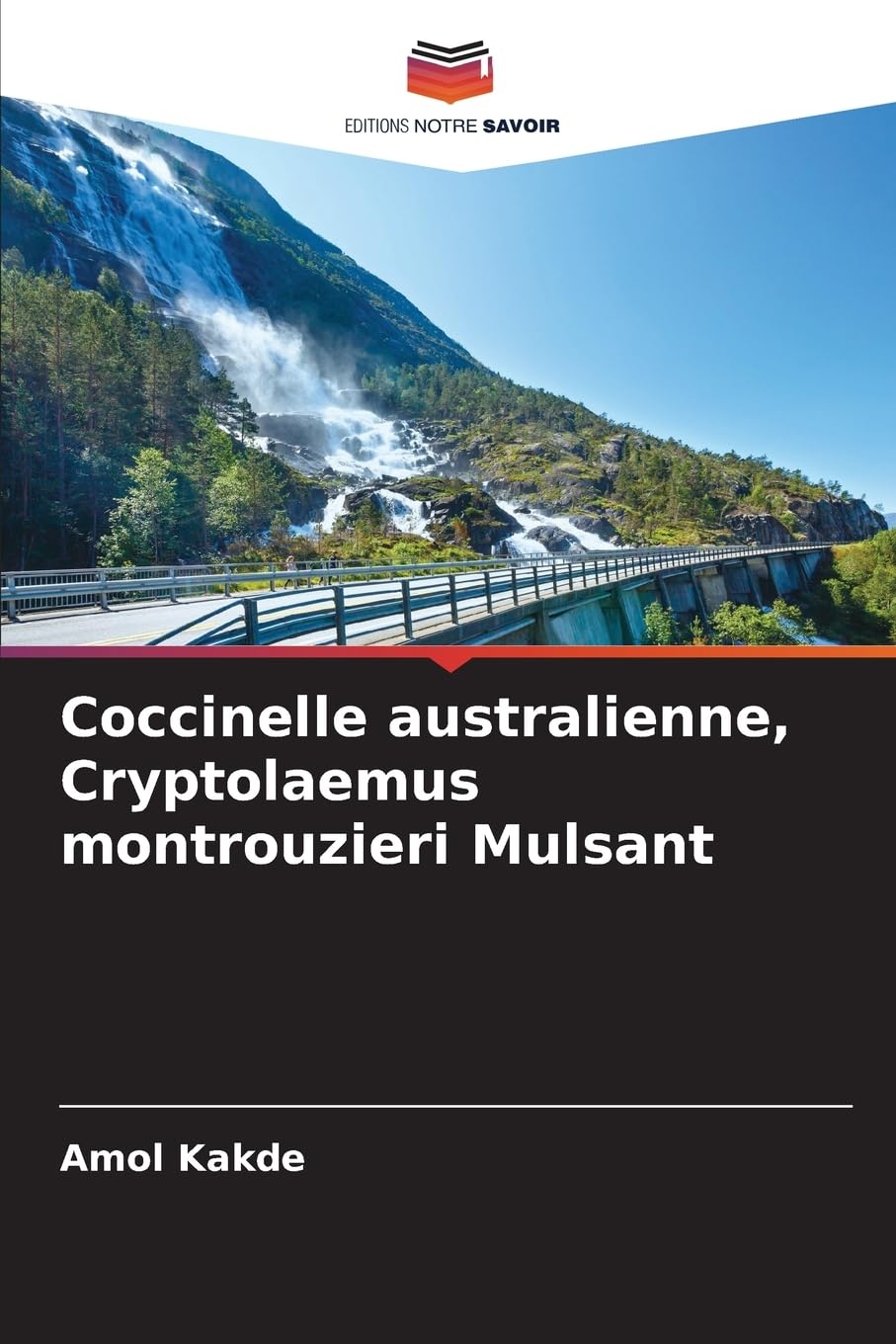 Coccinelle australienne, Cryptolaemus montrouzieri Mulsant: DE Business, Finance & Career