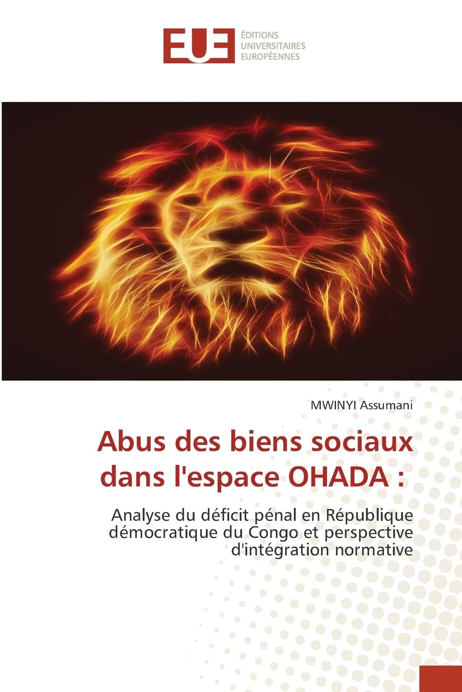 Abus des biens sociaux dans l'espace OHADA : Law