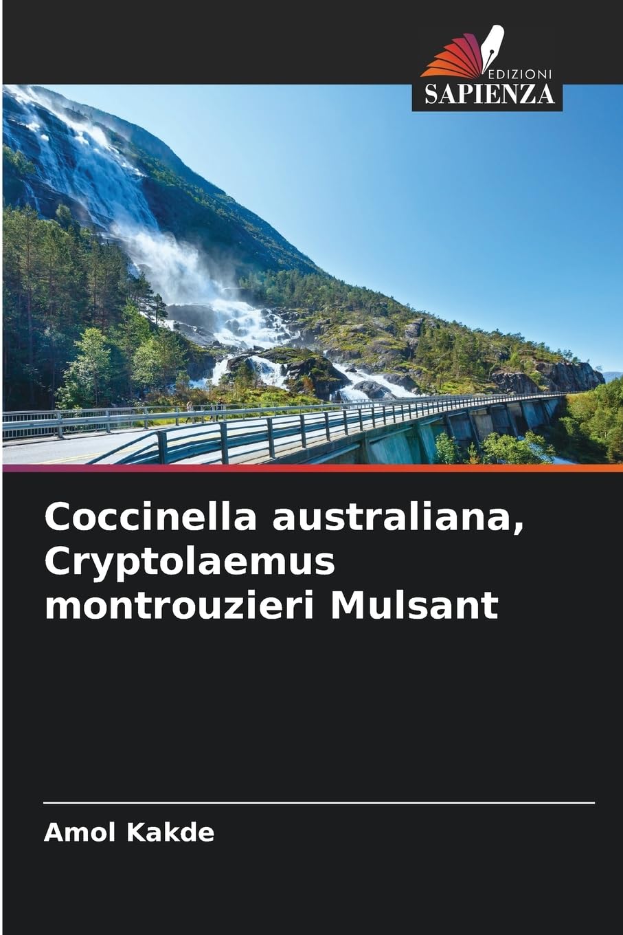 Coccinella australiana, Cryptolaemus montrouzieri Mulsant Business, Finance & Career