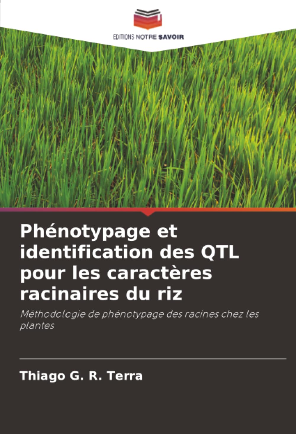 Phénotypage et identification des QTL pour les caractères racinaires du riz Natural Sciences