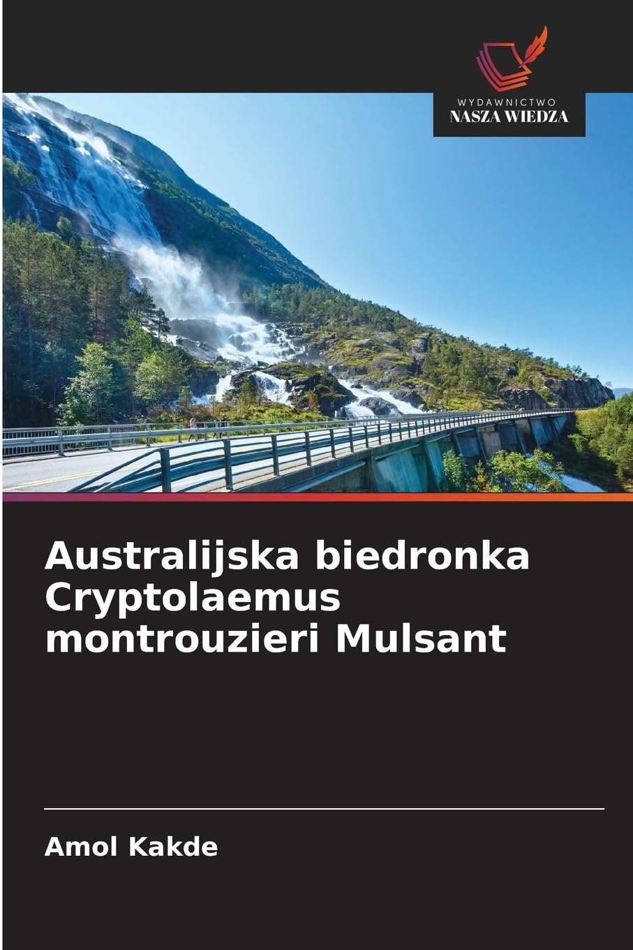 Australijska biedronka Cryptolaemus montrouzieri Mulsant Business, Finance & Career