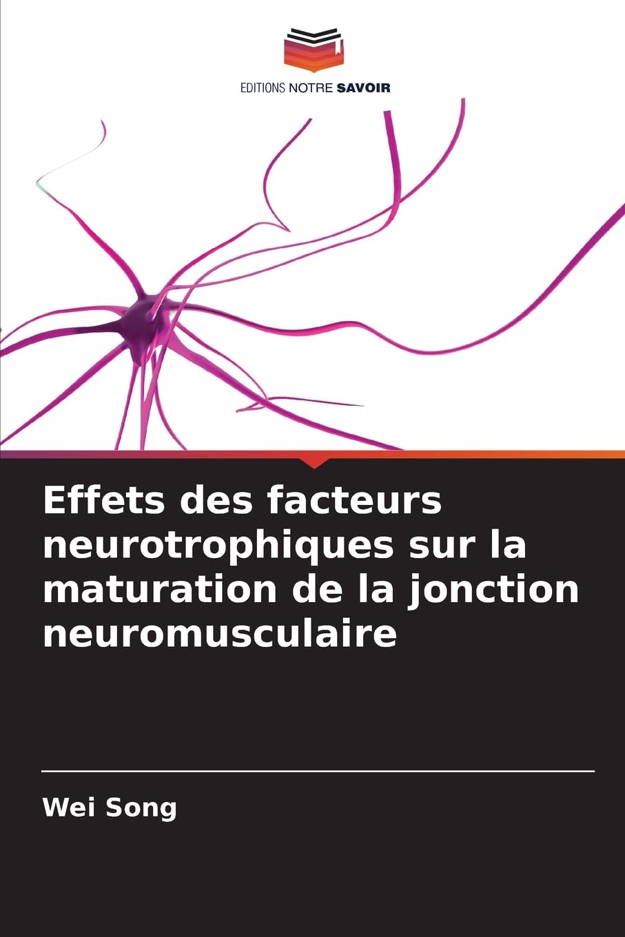 Effets des facteurs neurotrophiques sur la maturation de la jonction neuromusculaire Natural Sciences