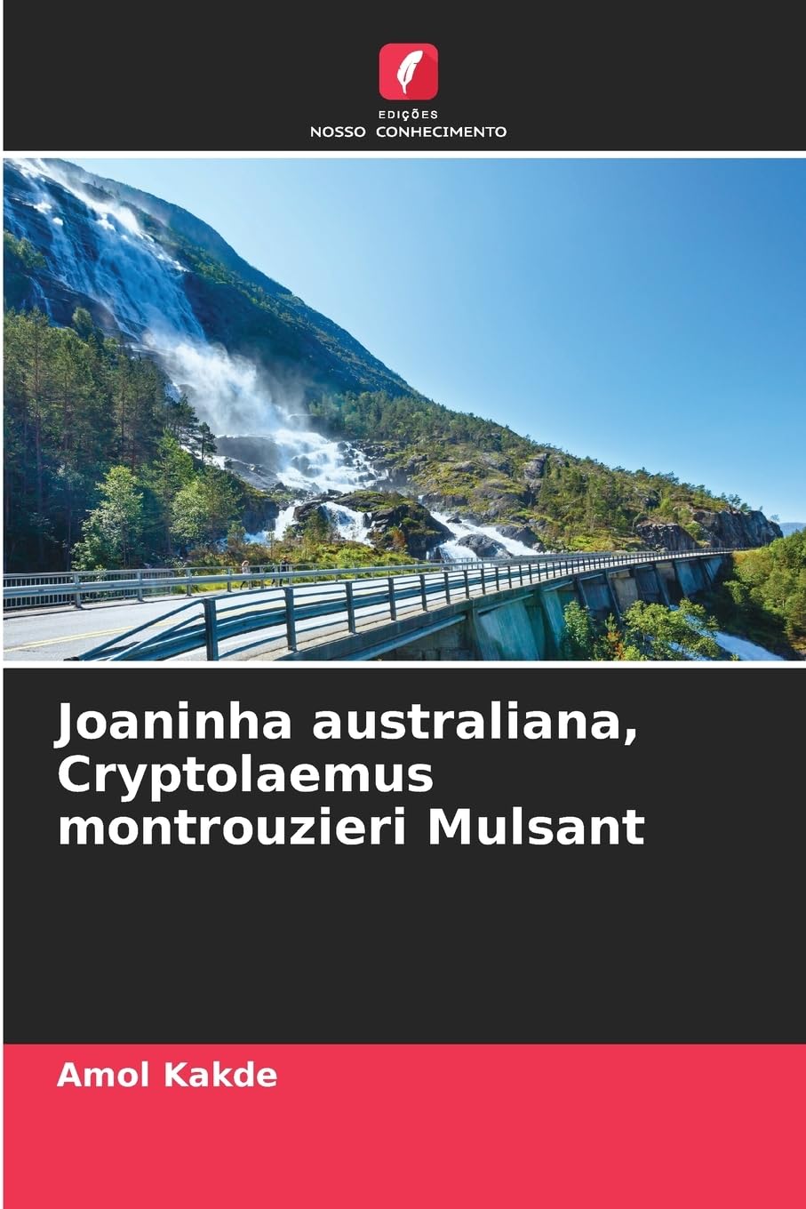 Joaninha australiana, Cryptolaemus montrouzieri Mulsant Business, Finance & Career