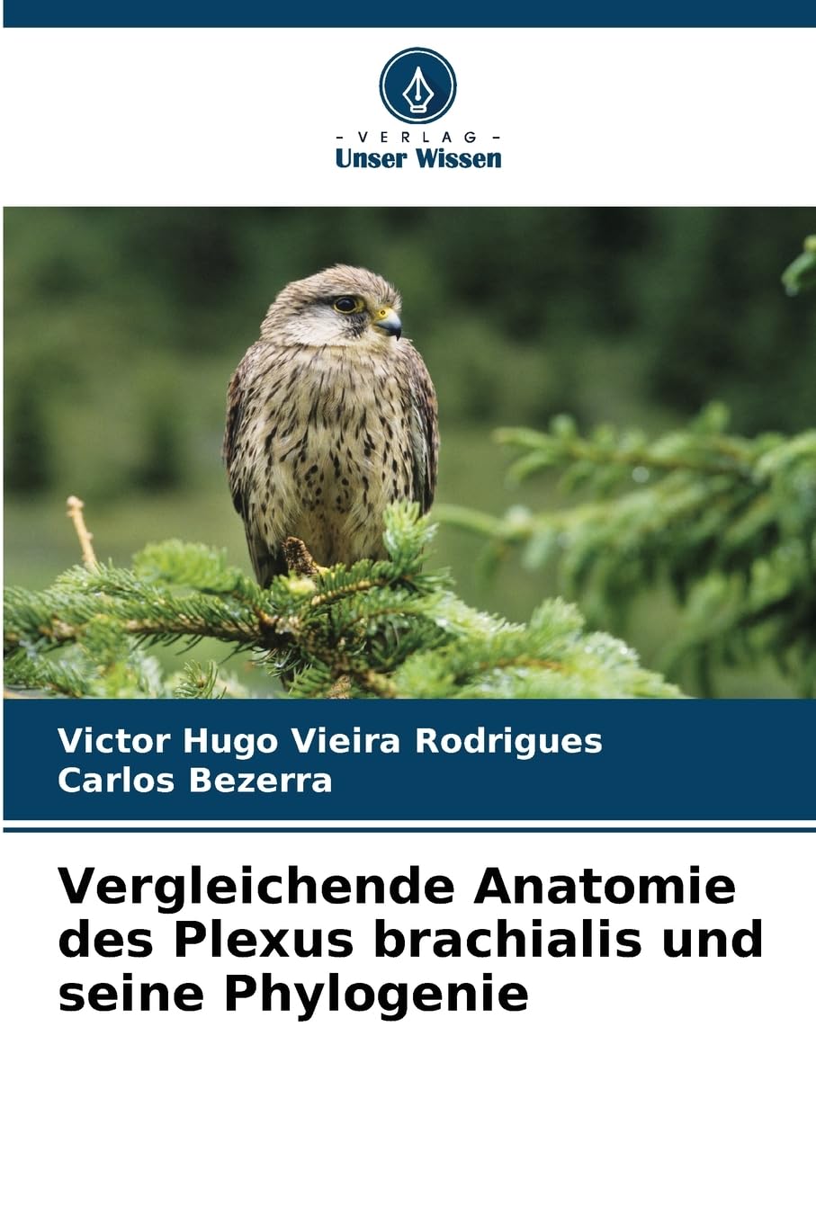 Vergleichende Anatomie des Plexus brachialis und seine Phylogenie Medicine