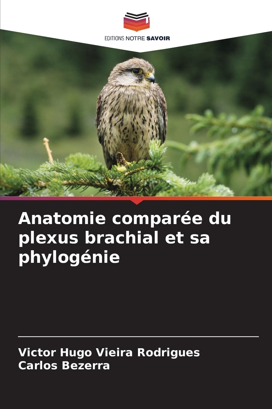 Anatomie comparée du plexus brachial et sa phylogénie Medicine