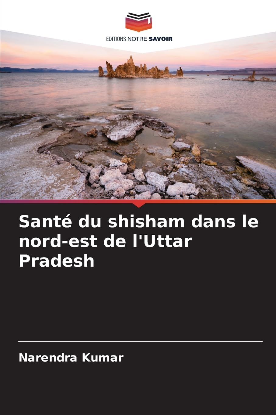 Santé du shisham dans le nord-est de l'Uttar Pradesh Natural Sciences