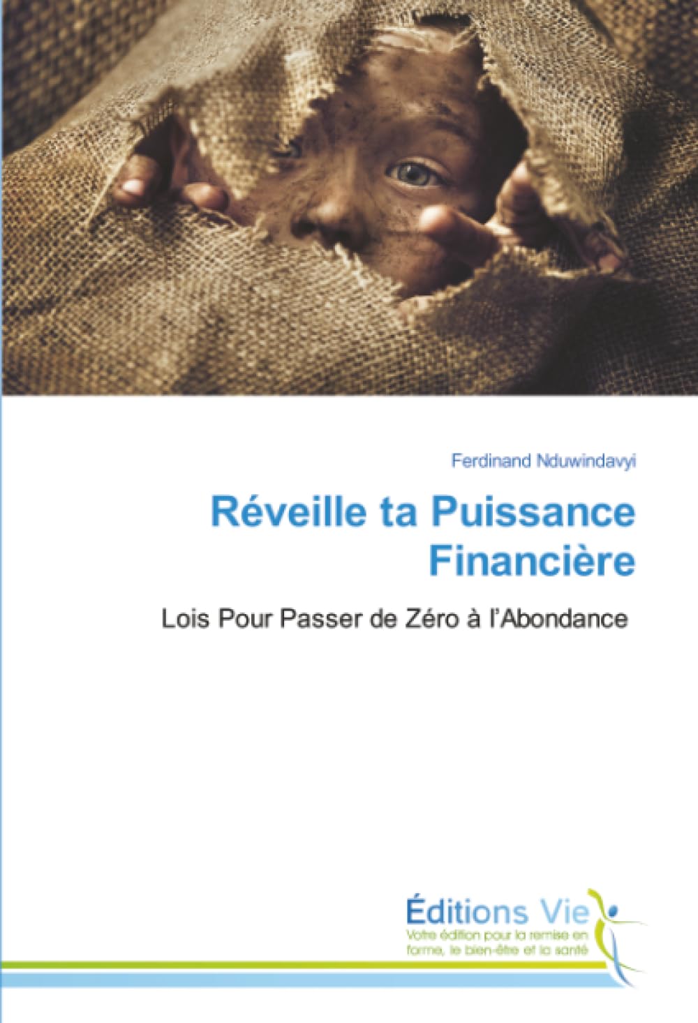 Réveille ta Puissance Financière: Lois Pour Passer de Zéro à l'Abondance Business, Finance & Career